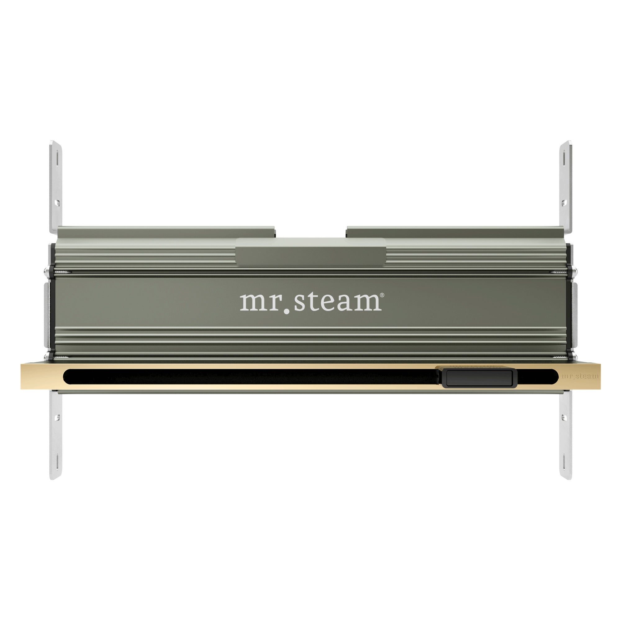Mr. Steam 104480 Linear 16 in. Steam Head With AromaTray