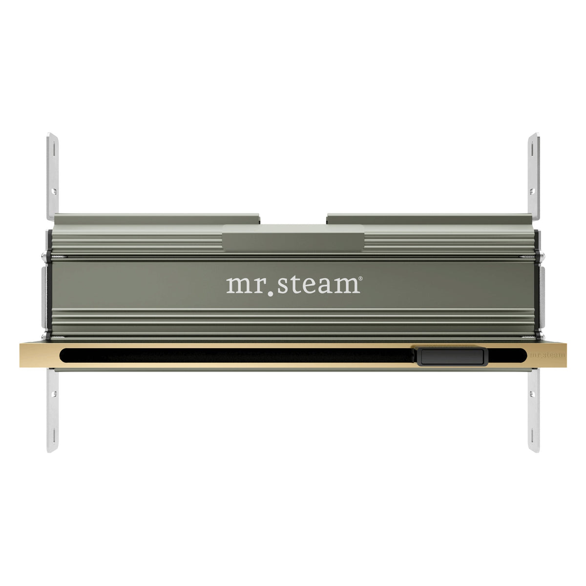 Mr. Steam 104480 Linear 16 in. Steam Head With AromaTray