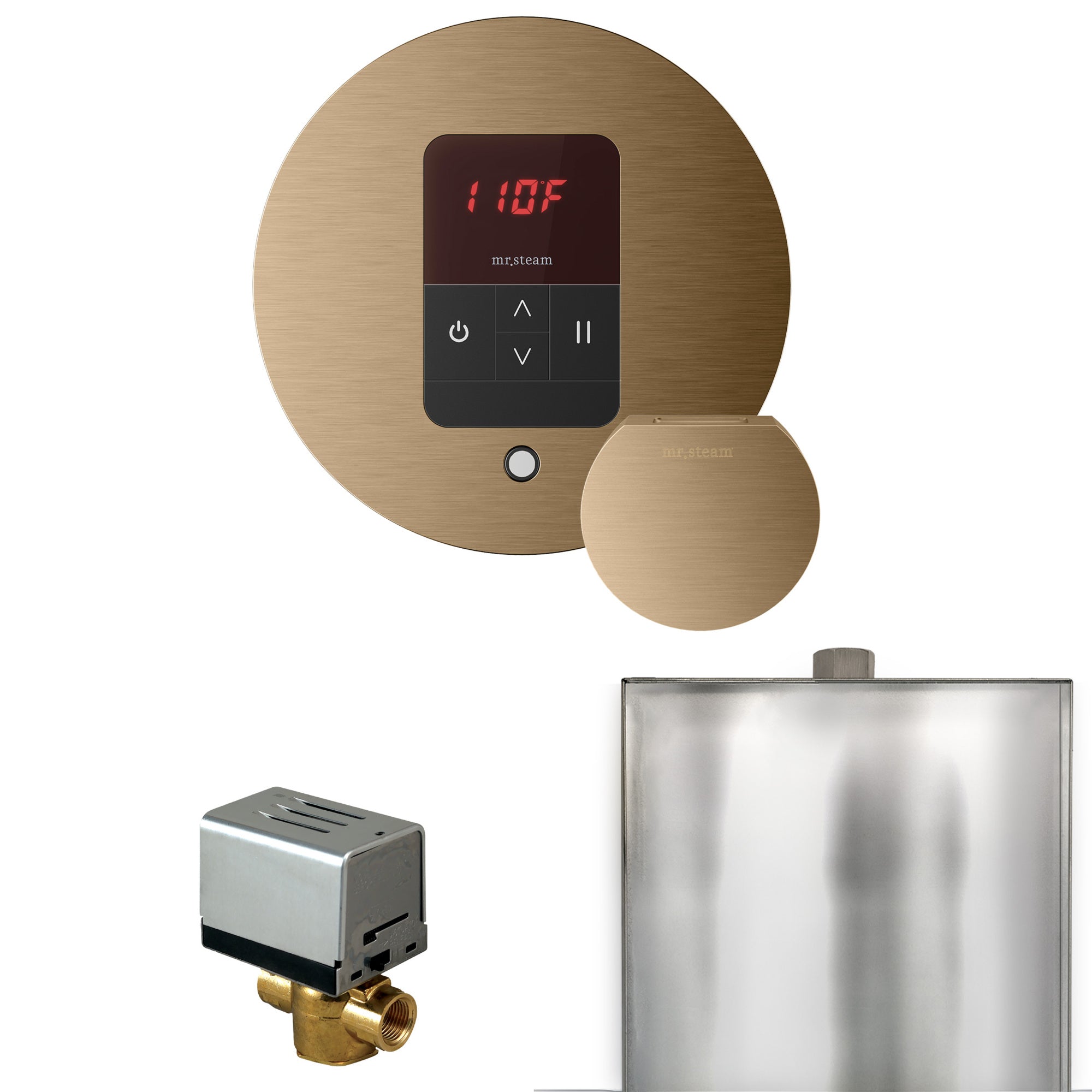 Mr. Steam Basic Butler Steam Shower Control Package with iTempo Control and Steamhead