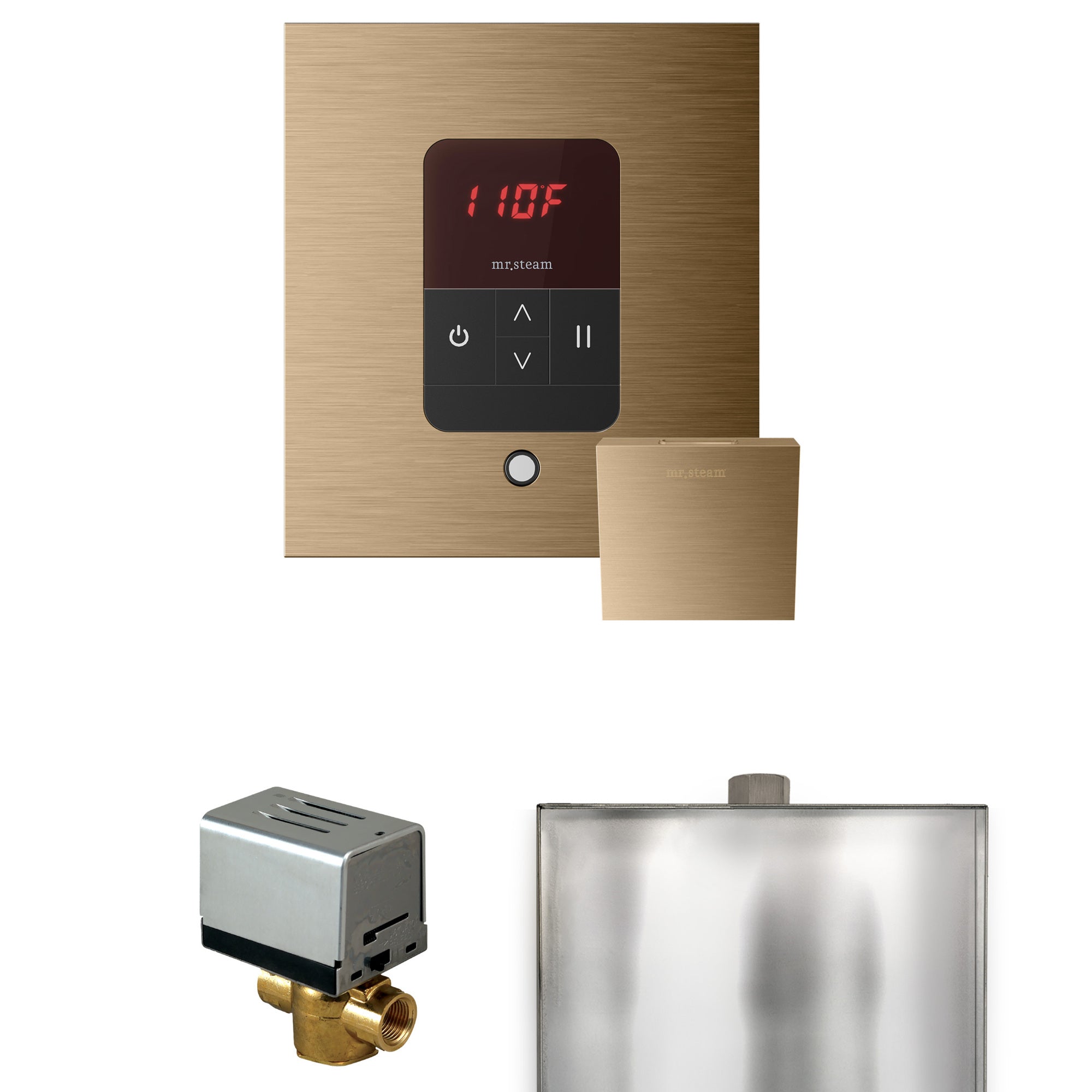 Mr. Steam Basic Butler Steam Shower Control Package with iTempo Control and Steamhead