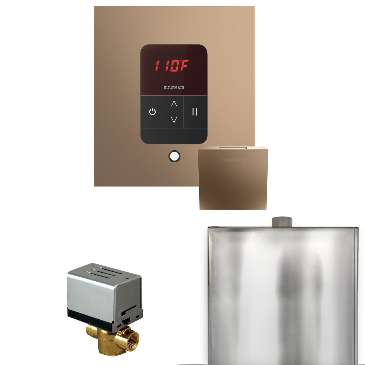 Mr. Steam Basic Butler Steam Shower Control Package with iTempo Control and Steamhead