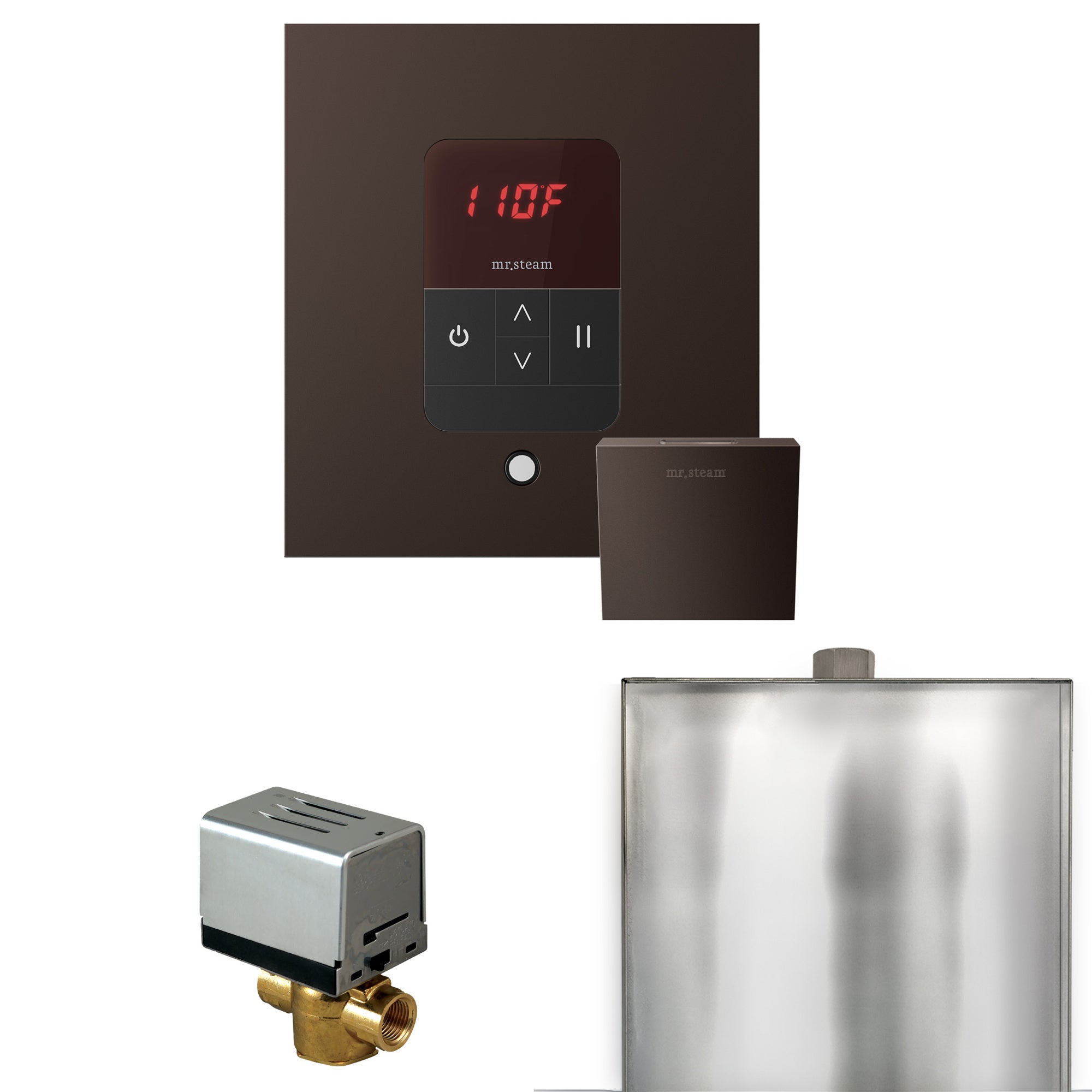 Mr. Steam Basic Butler Steam Shower Control Package with iTempo Control and Steamhead