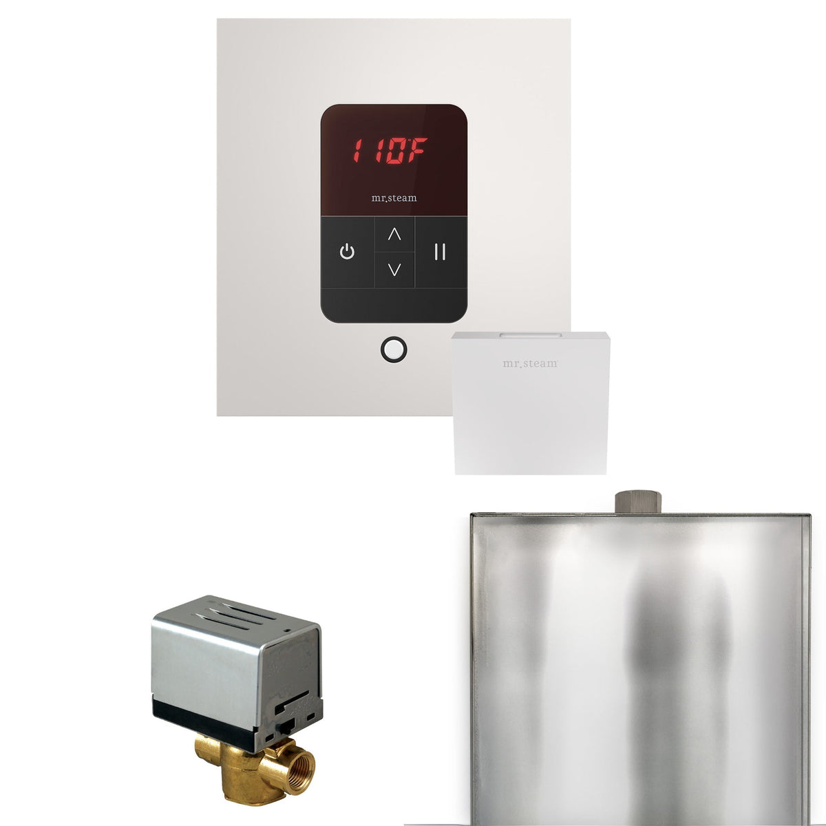 Mr. Steam Basic Butler Steam Shower Control Package with iTempo Control and Steamhead