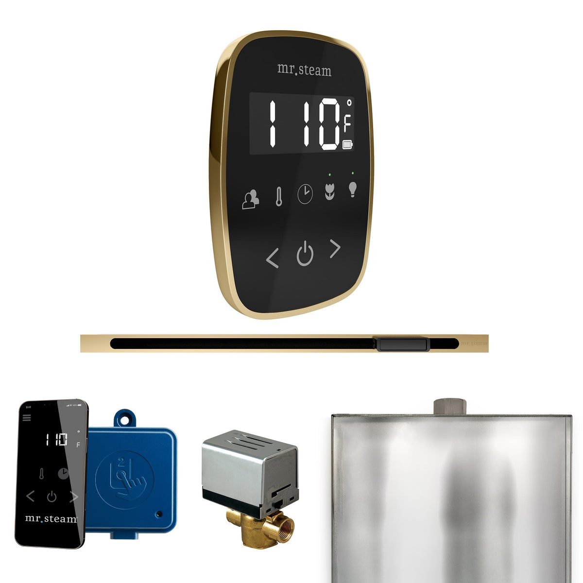 Mr. Steam ButlerFlex Steam Shower Control Package with TempoFlex Control and Linear Steamhead