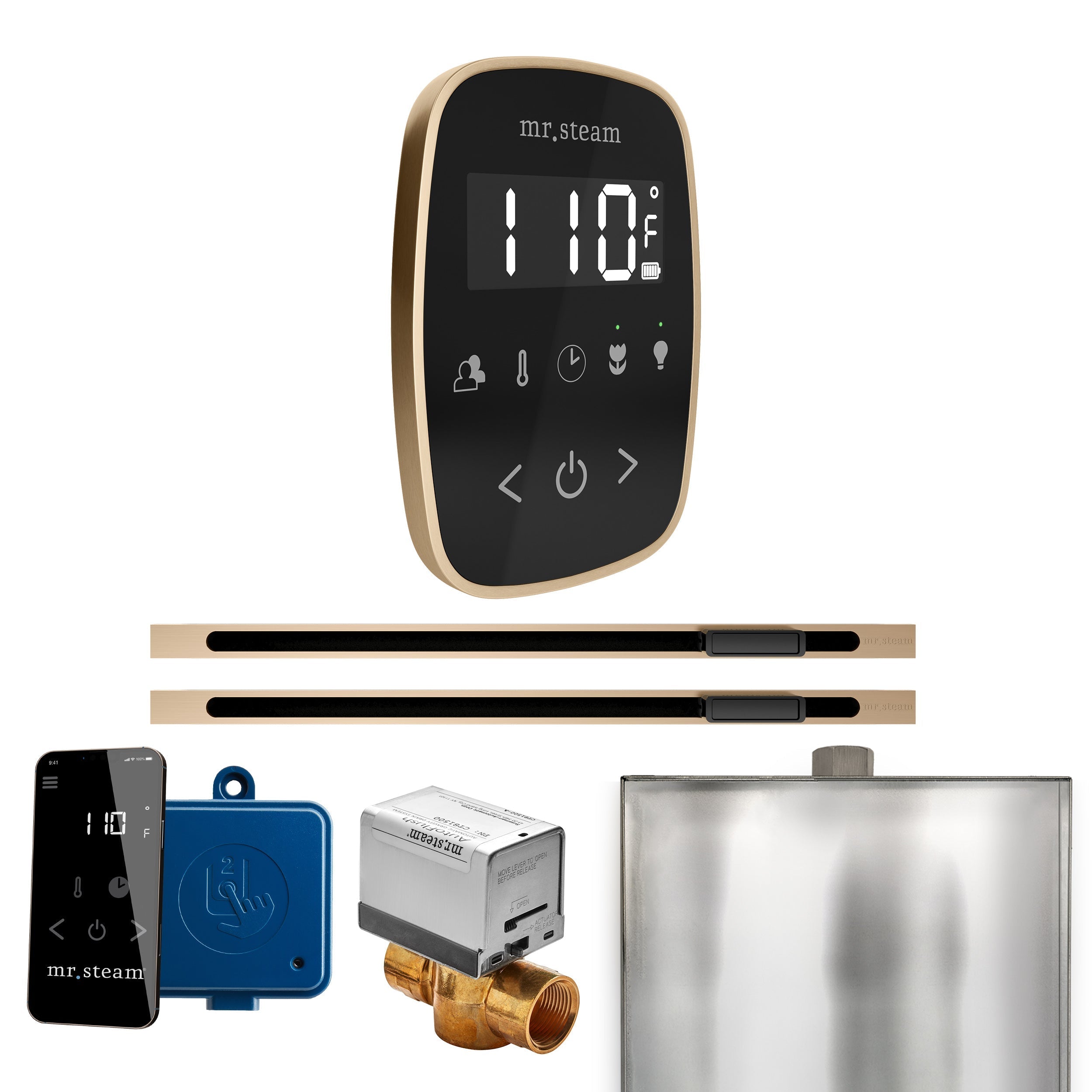 Mr. Steam ButlerFlex Max Steam Shower Control Package with TempoFlex Control and Linear Steamhead
