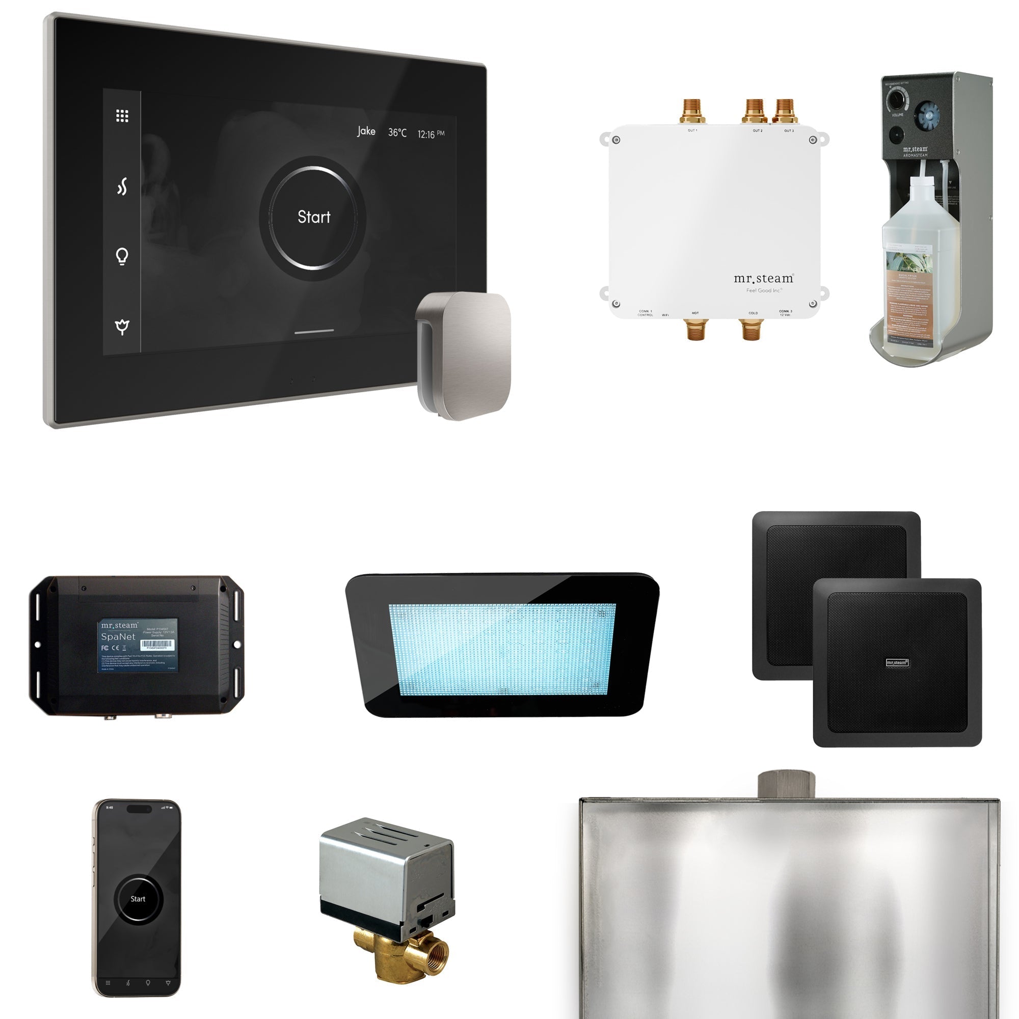 Mr. Steam Bliss Steam Shower Control Package with iSteamX Control and Steamhead