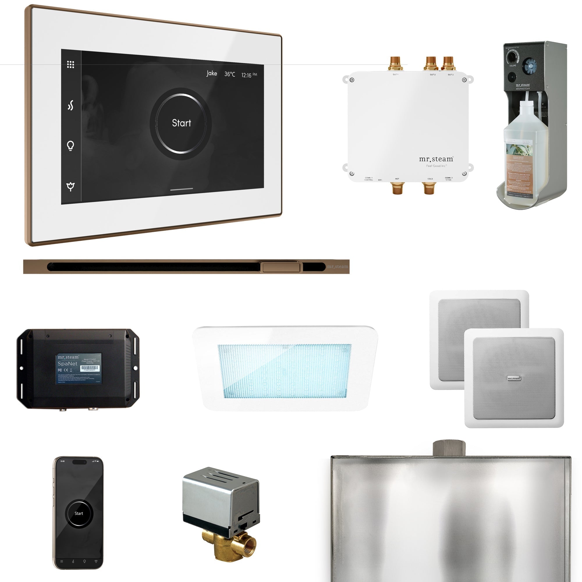 Mr. Steam Bliss Steam Shower Control Package with iSteamX Control and Linear Steamhead