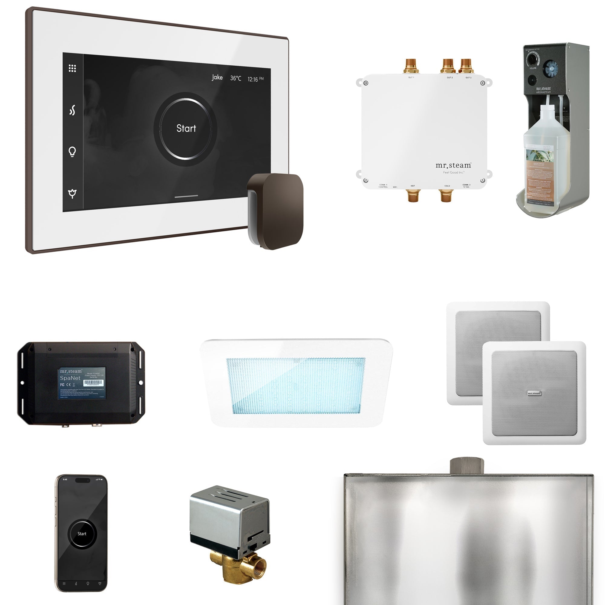Mr. Steam Bliss Steam Shower Control Package with iSteamX Control and Steamhead