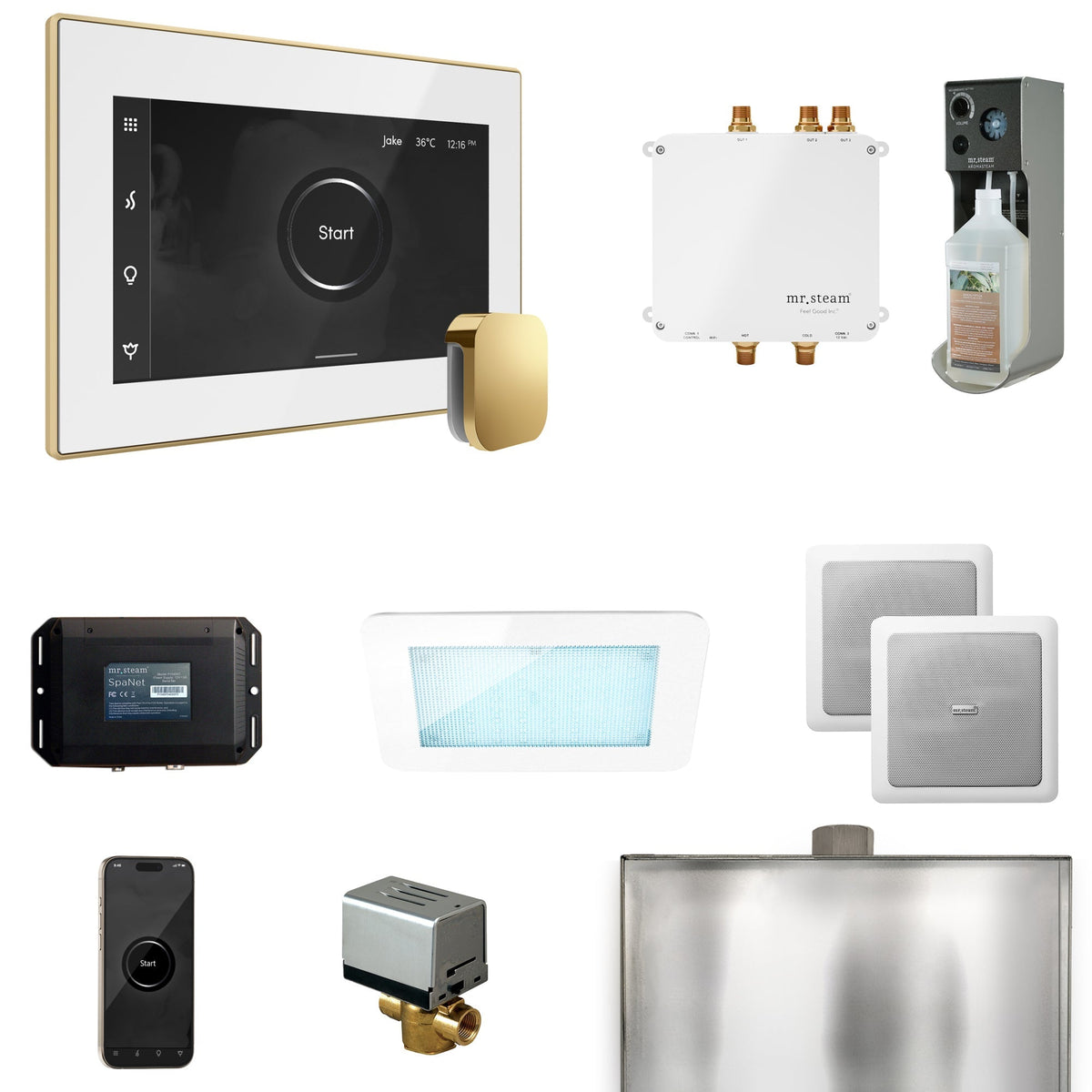 Mr. Steam Bliss Steam Shower Control Package with iSteamX Control and Steamhead