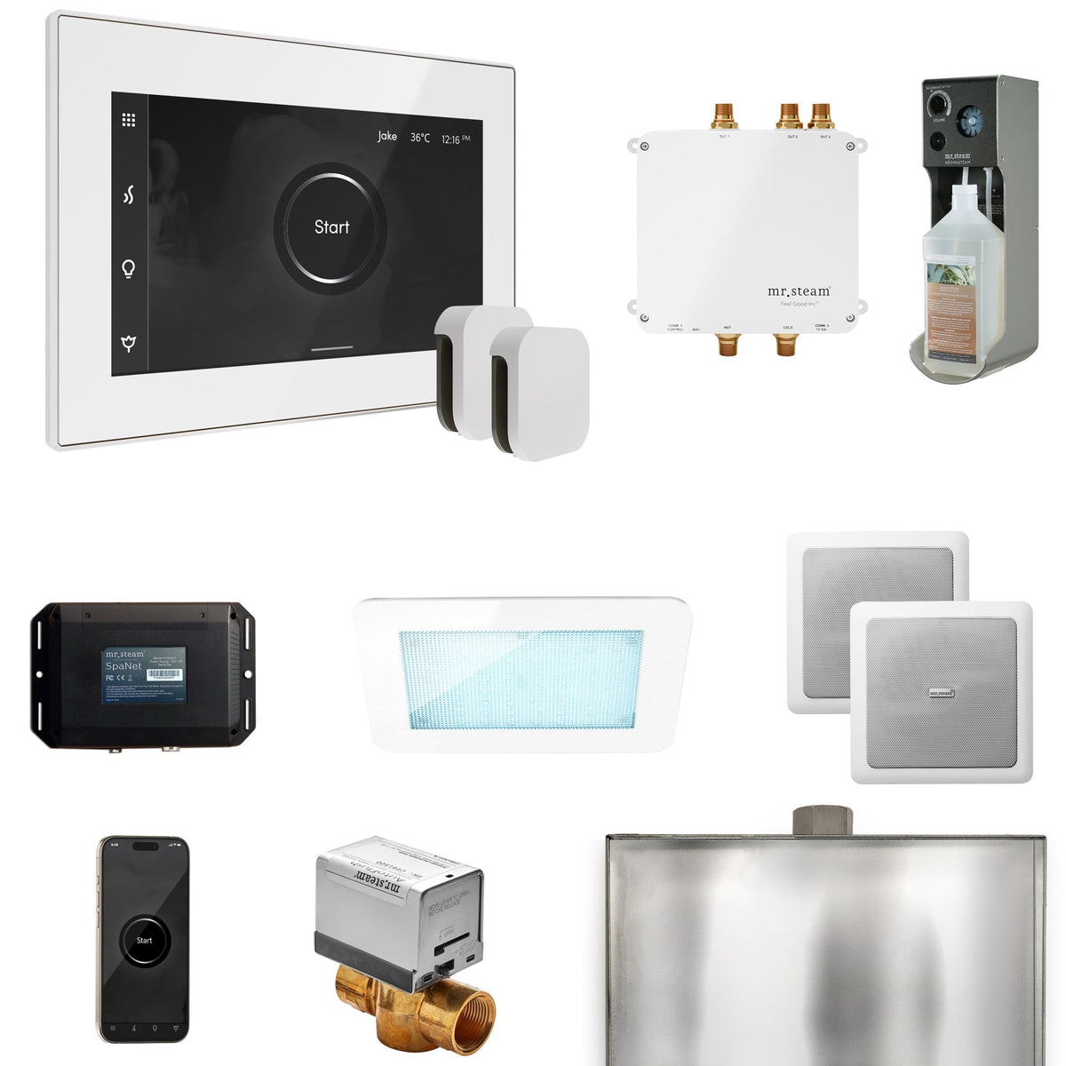 Mr. Steam Bliss Max Steam Shower Control Package with iSteamX Control and Steamhead