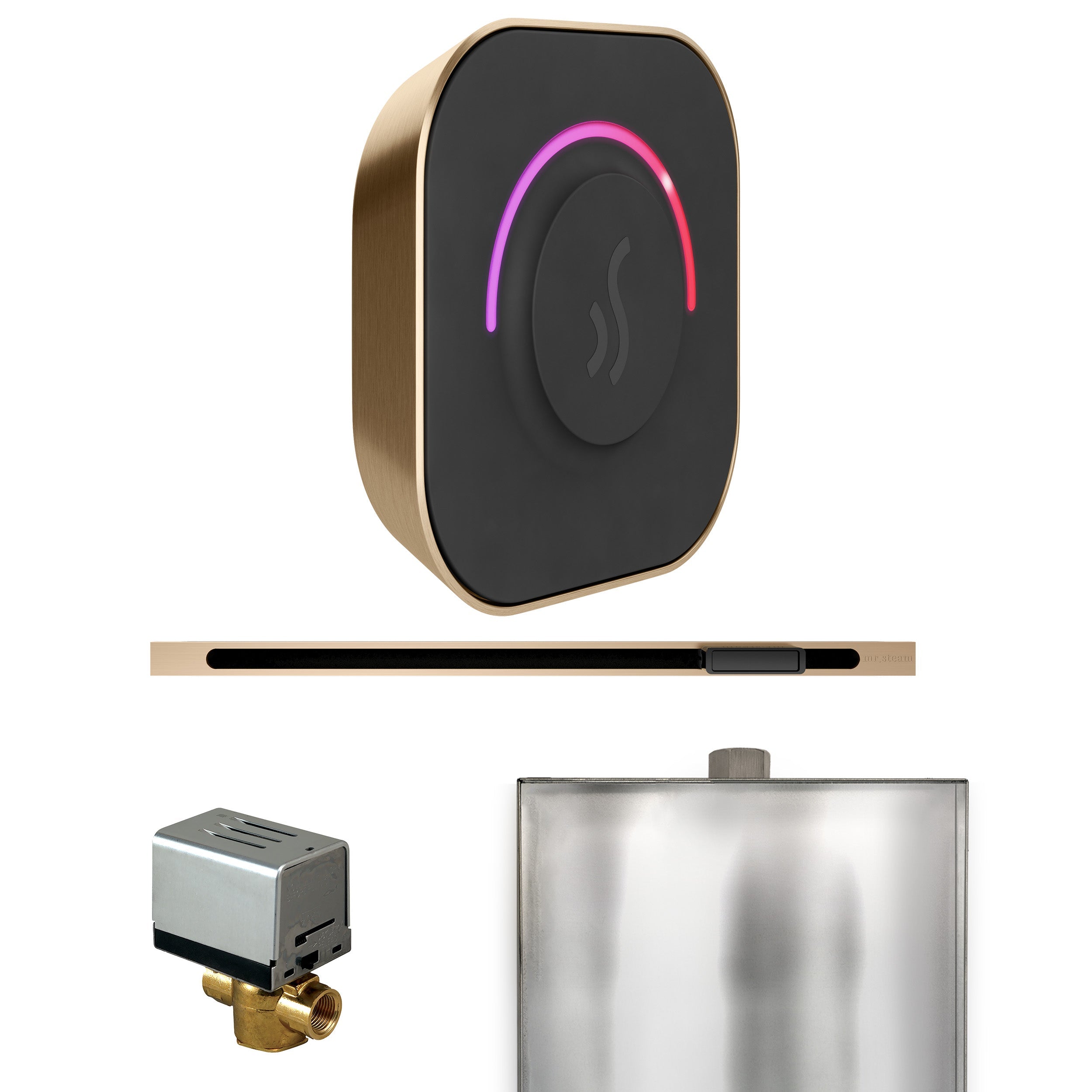 Mr. Steam ButlerTouch Steam Shower Control Package with TempoTouch Control and Linear Steamhead