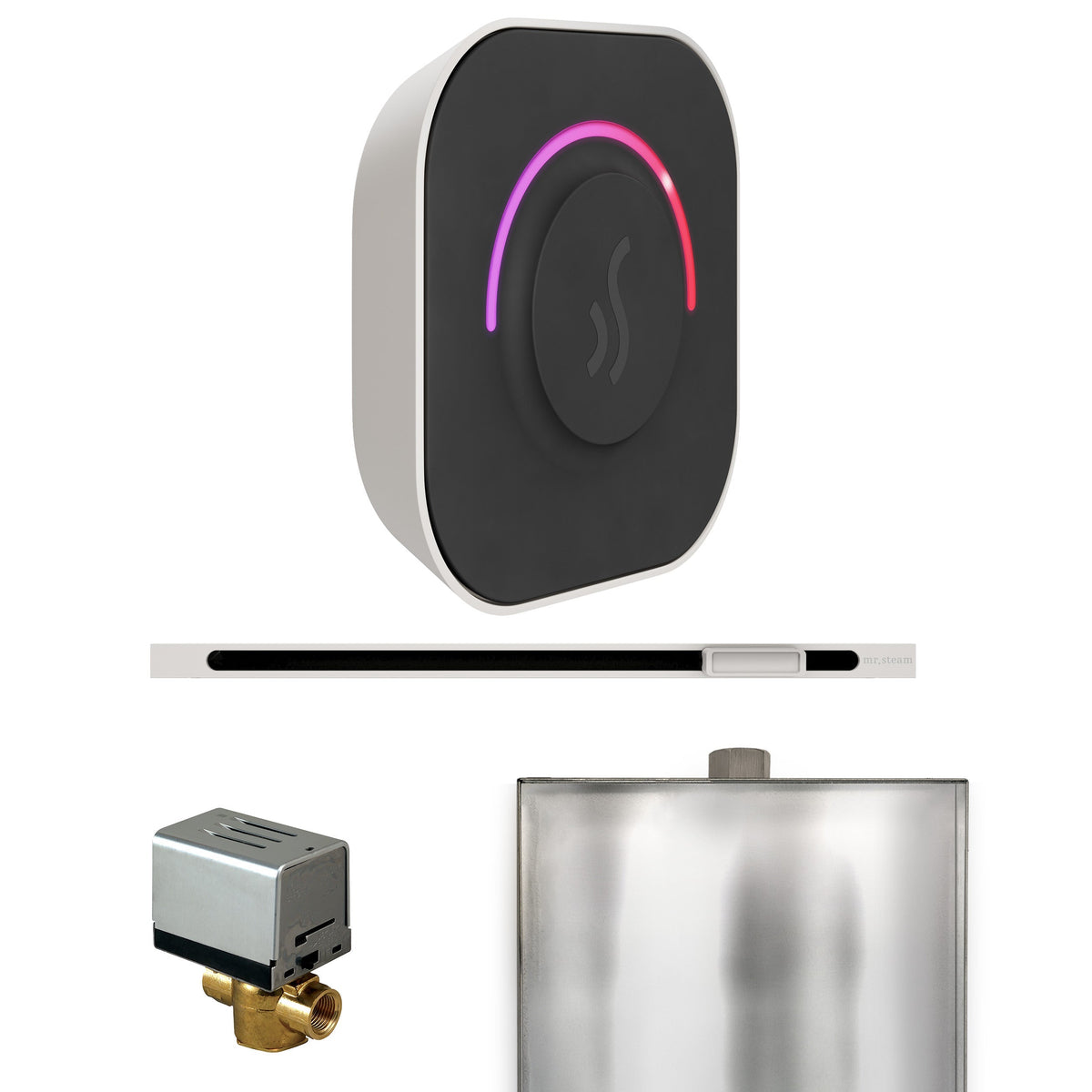 Mr. Steam ButlerTouch Steam Shower Control Package with TempoTouch Control and Linear Steamhead