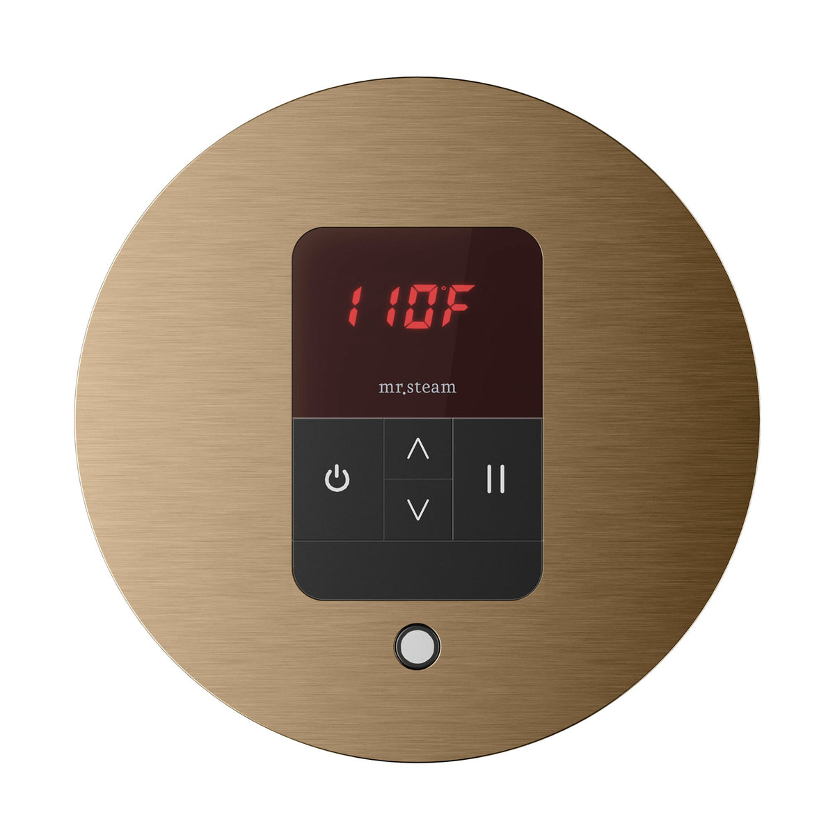 Mr. Steam iTempo Steam Shower Control and Steamhead