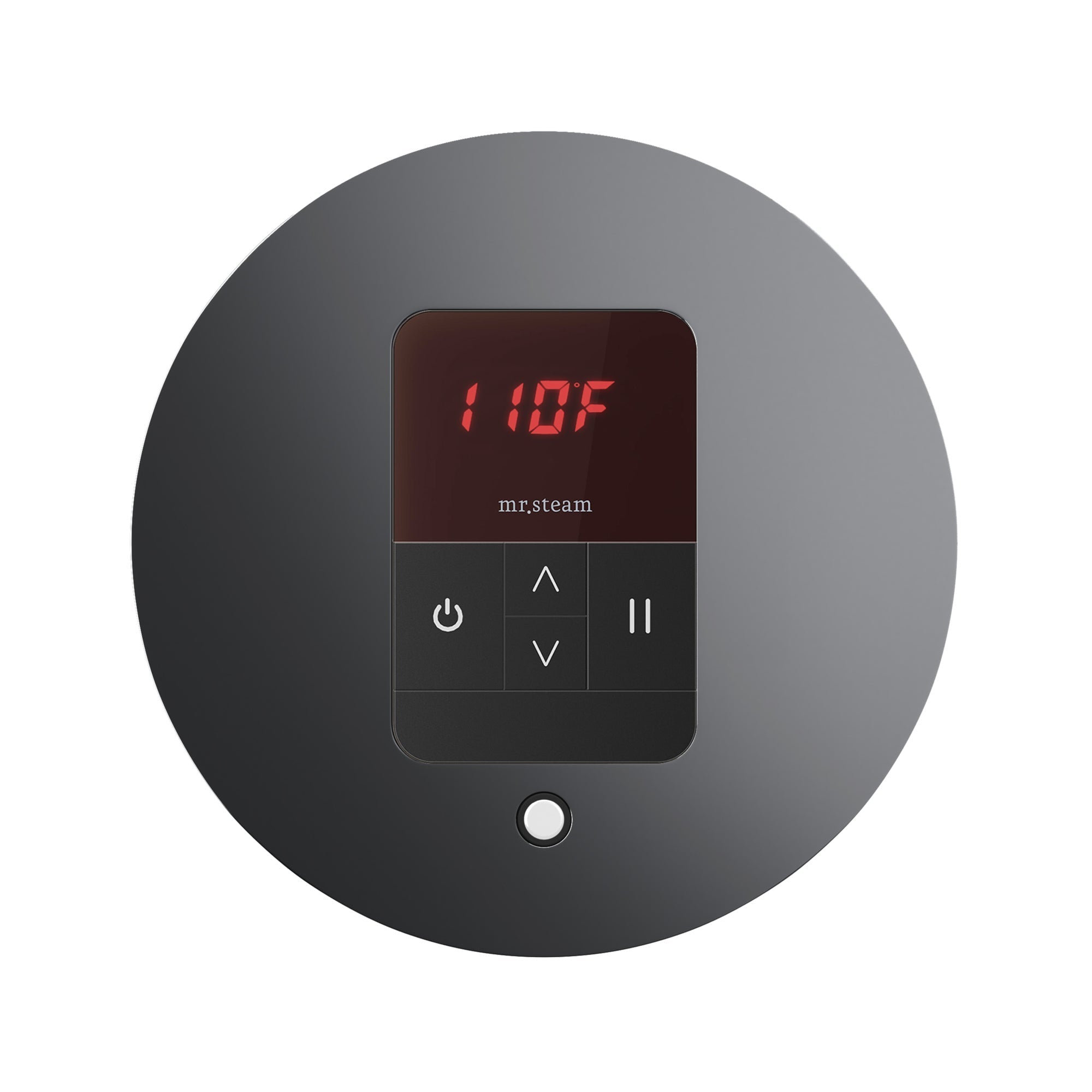 Mr. Steam iTempo Steam Shower Control and Steamhead
