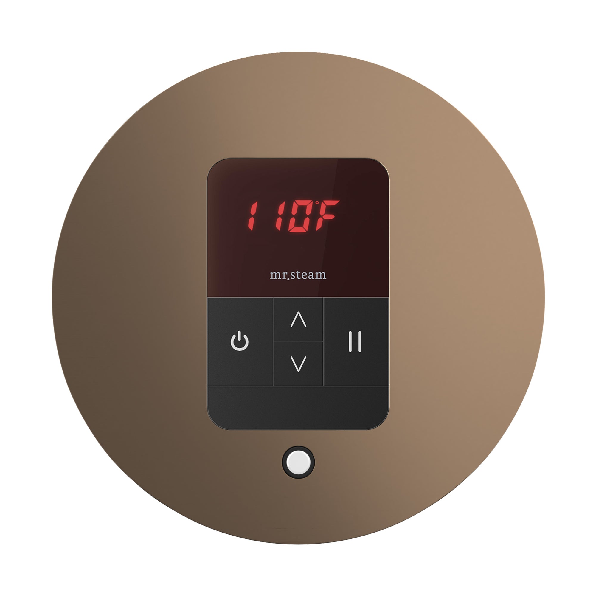Mr. Steam iTempo Steam Shower Control and Steamhead