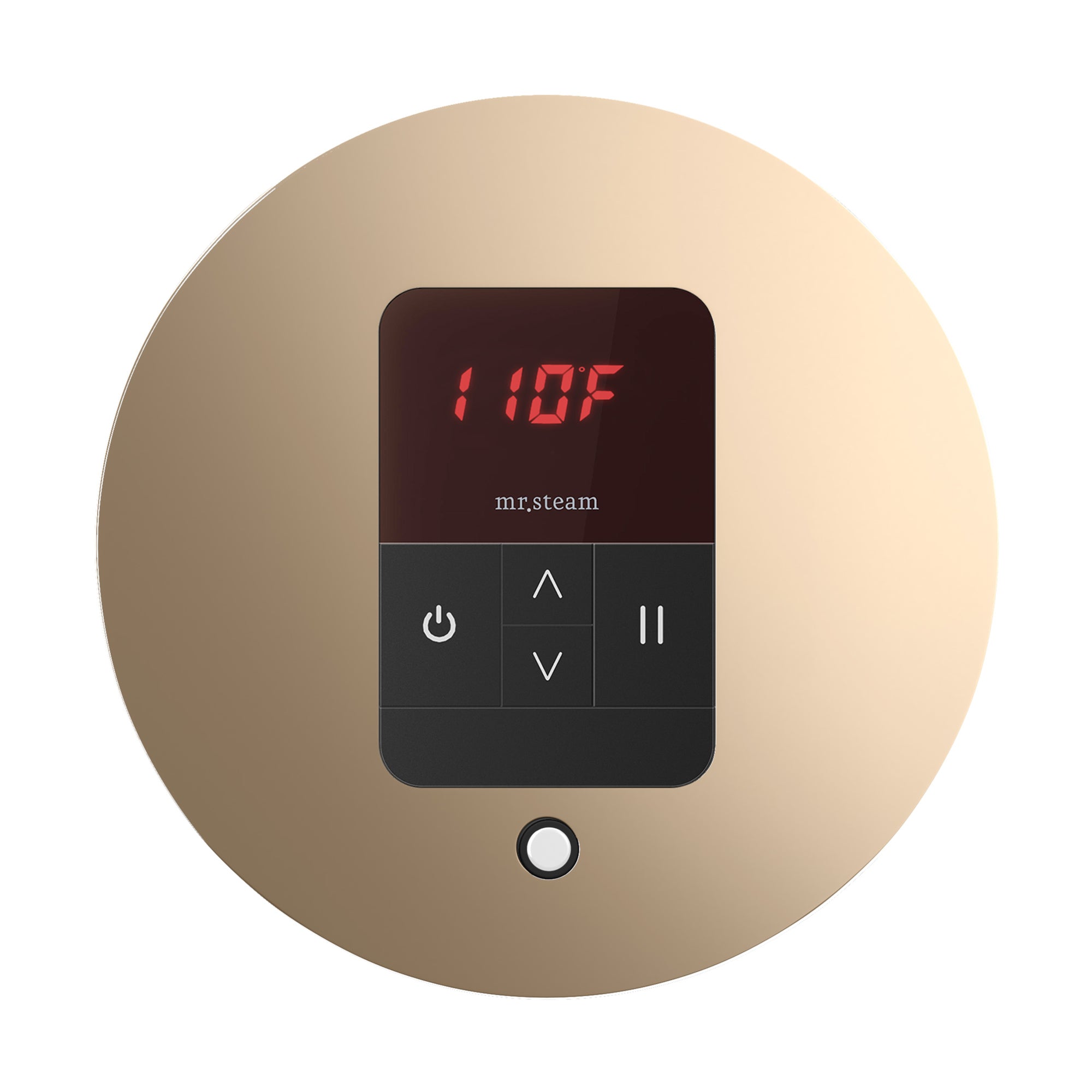 Mr. Steam iTempo Steam Shower Control and Steamhead