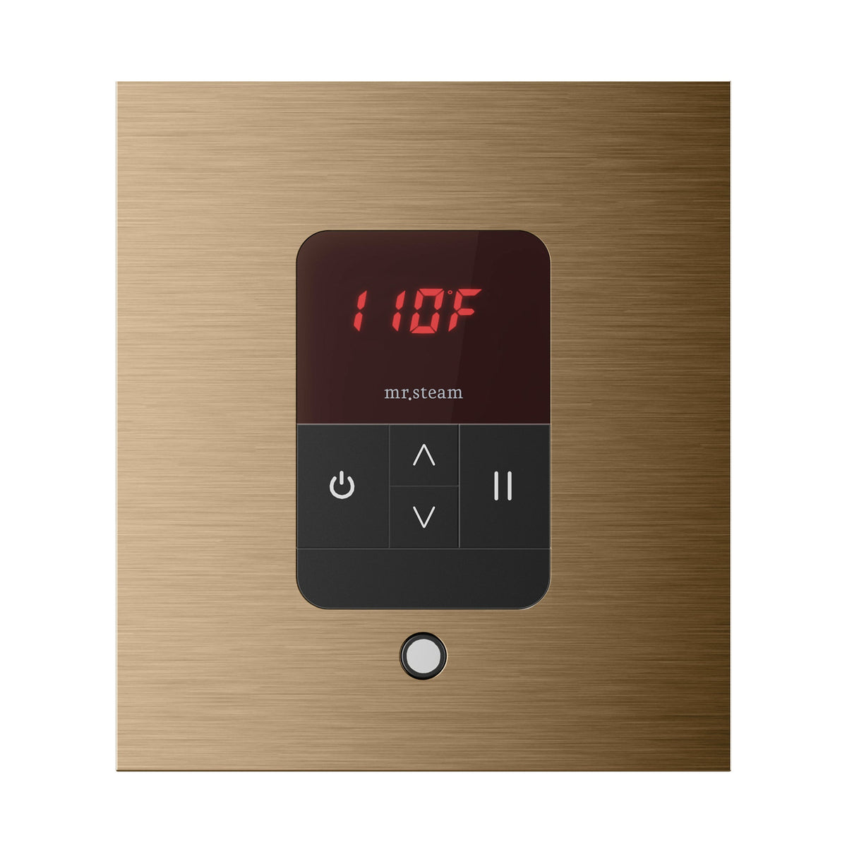 Mr. Steam iTempo Steam Shower Control and Steamhead