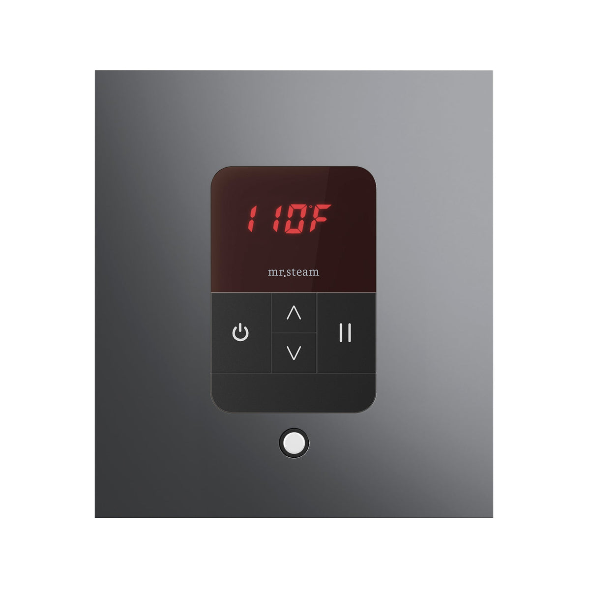 Mr. Steam iTempo Steam Shower Control and Steamhead
