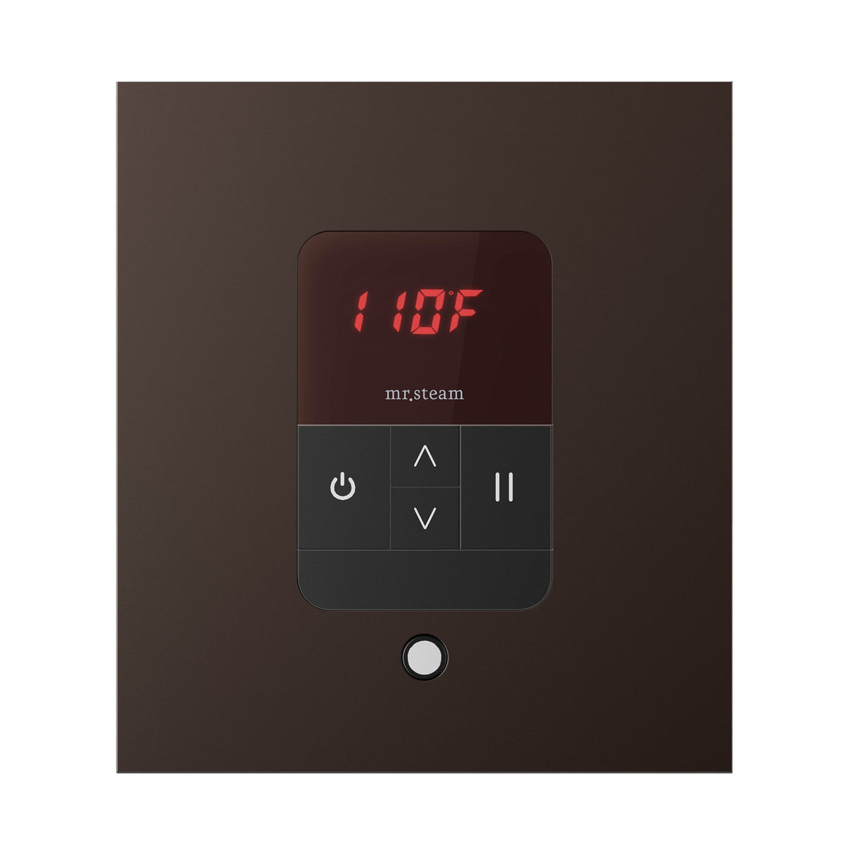 Mr. Steam iTempo Steam Shower Control and Steamhead