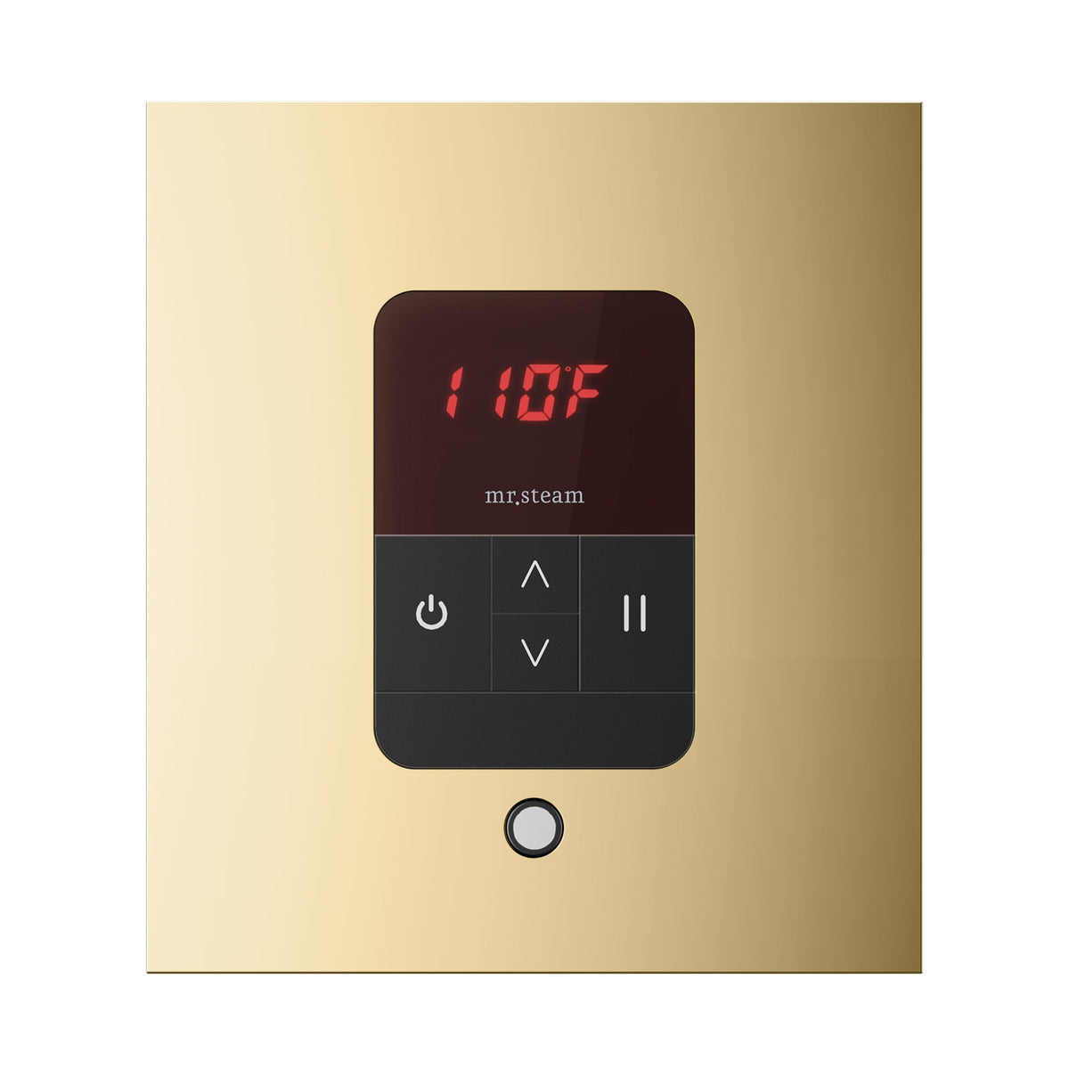 Mr. Steam iTempo Steam Shower Control and Steamhead