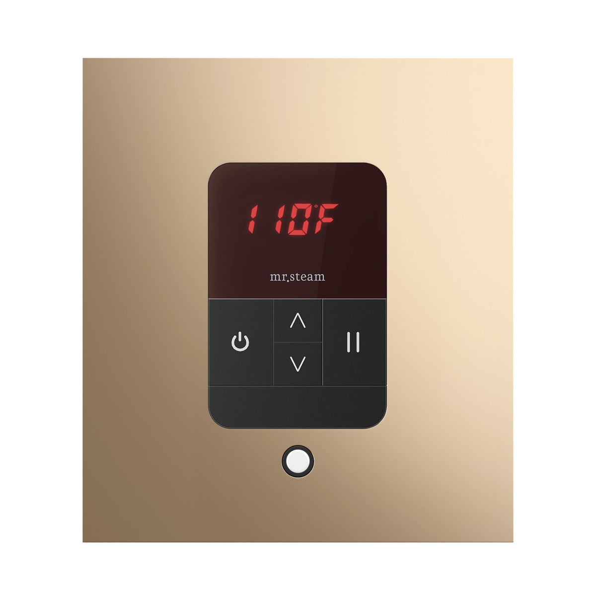 Mr. Steam iTempo Steam Shower Control and Steamhead