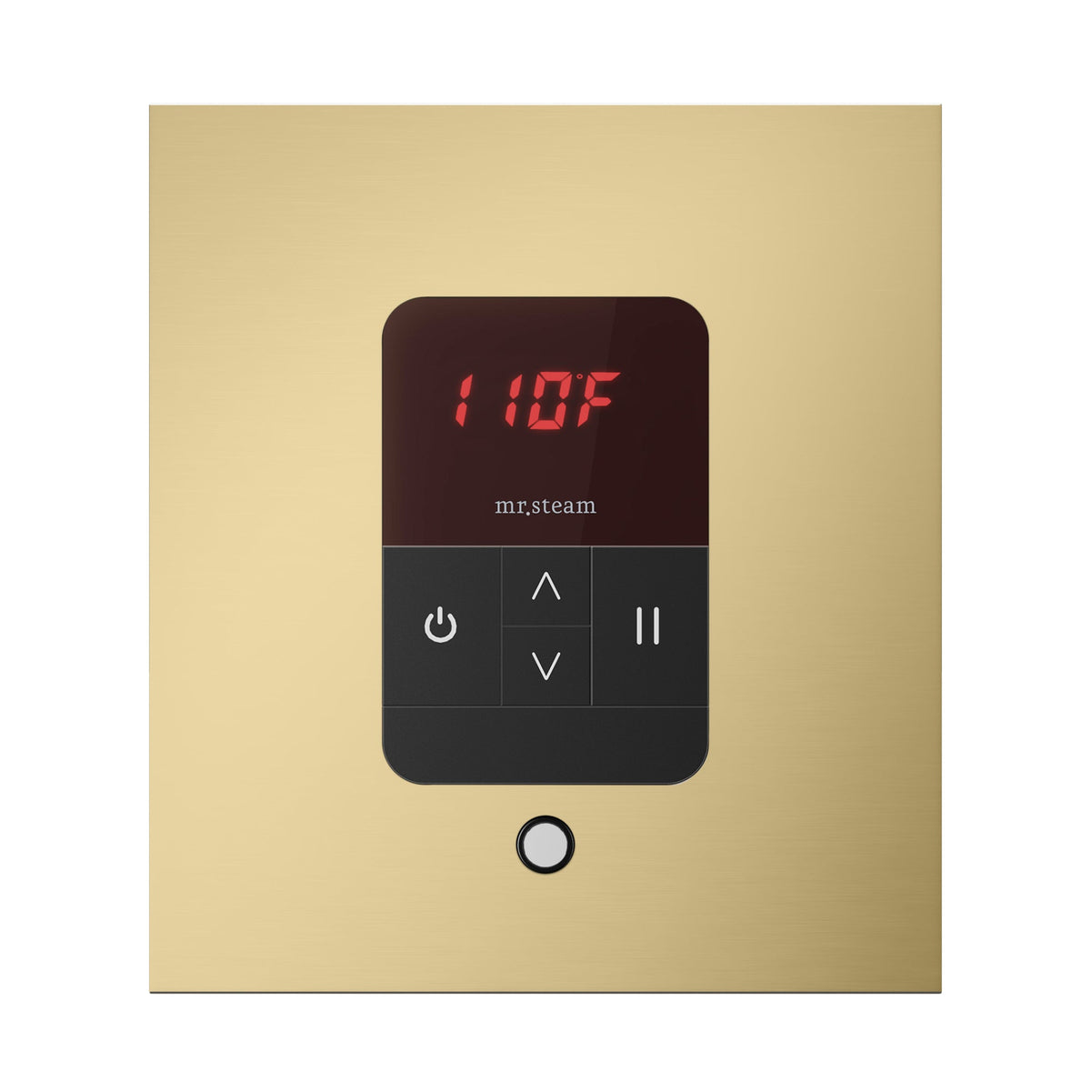 Mr. Steam iTempo Steam Shower Control and Steamhead