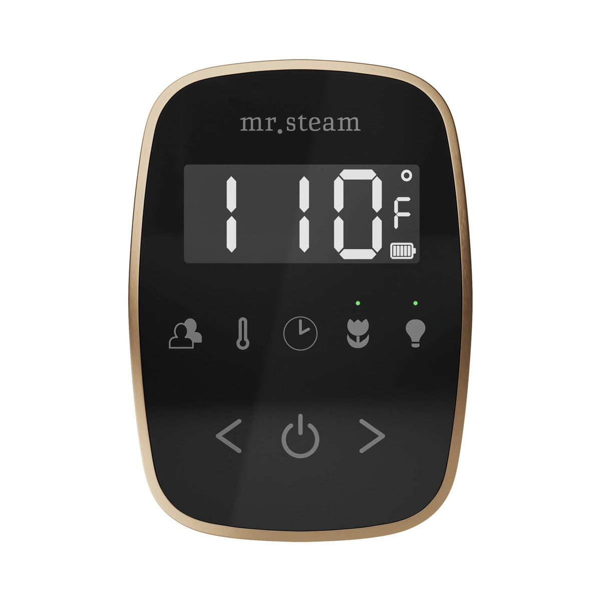 Mr. Steam TempoFlex Steam Shower Control and Steamhead