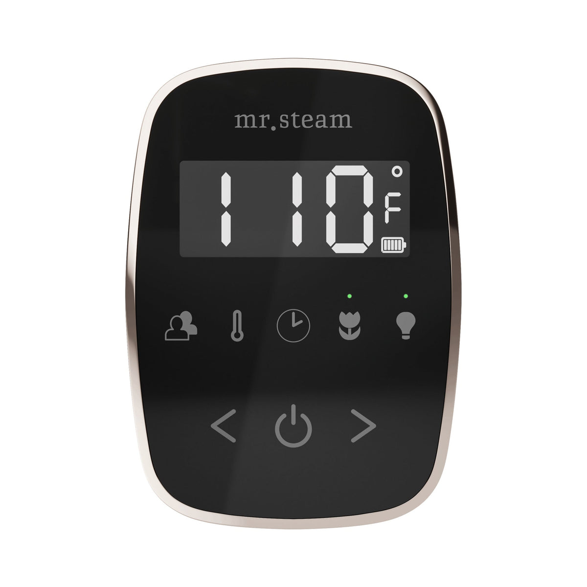 Mr. Steam TempoFlex Steam Shower Control and Steamhead