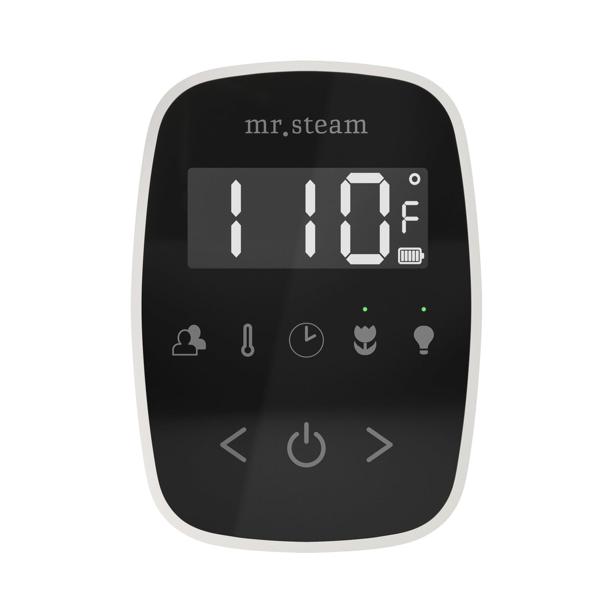 Mr. Steam TempoFlex Steam Shower Control and Steamhead