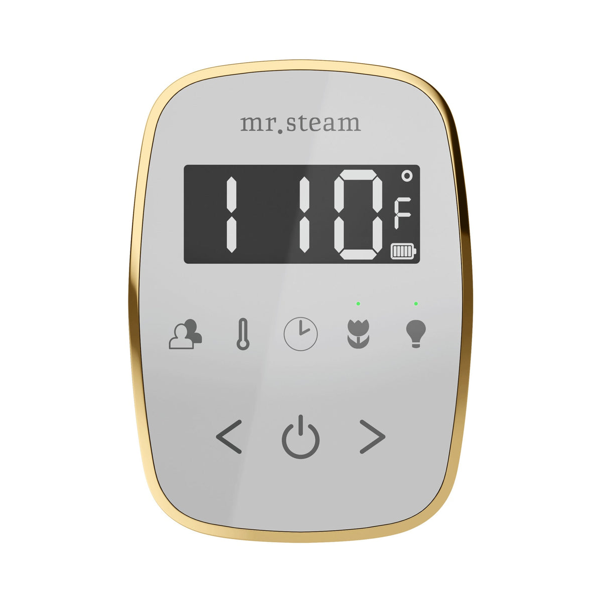 Mr. Steam TempoFlex Steam Shower Control and Steamhead