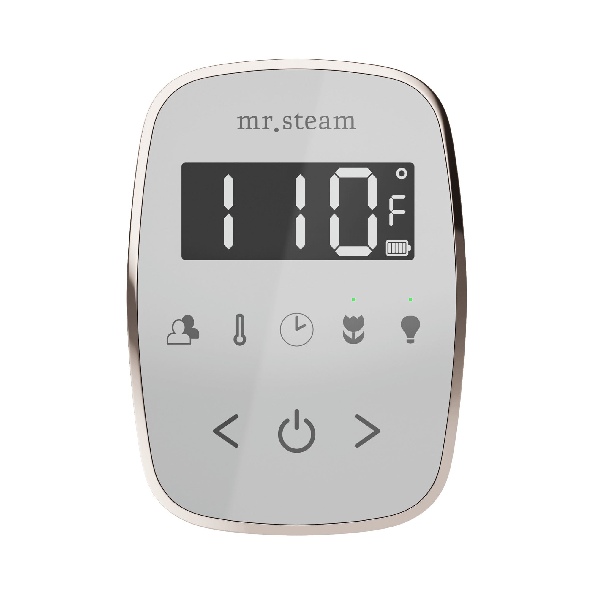 Mr. Steam TempoFlex Steam Shower Control and Steamhead
