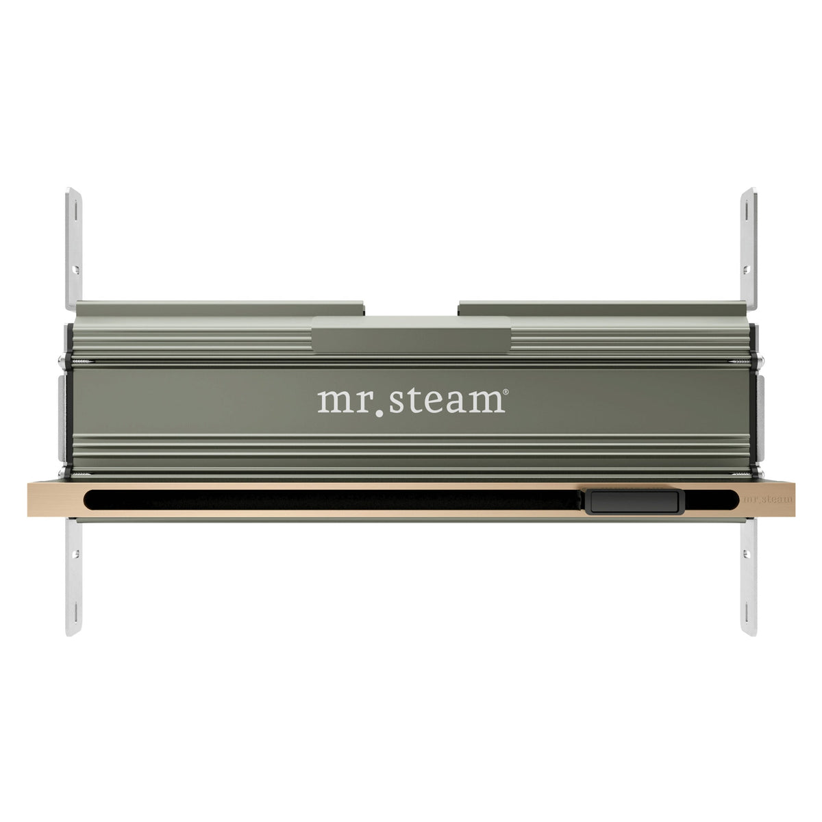 Mr. Steam 104480 Linear 16 in. Steam Head With AromaTray