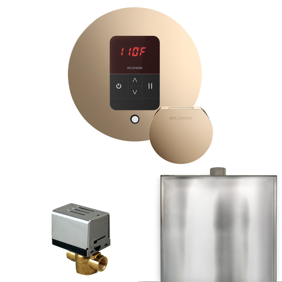 Mr. Steam Basic Butler Steam Shower Control Package with iTempo Control and Steamhead