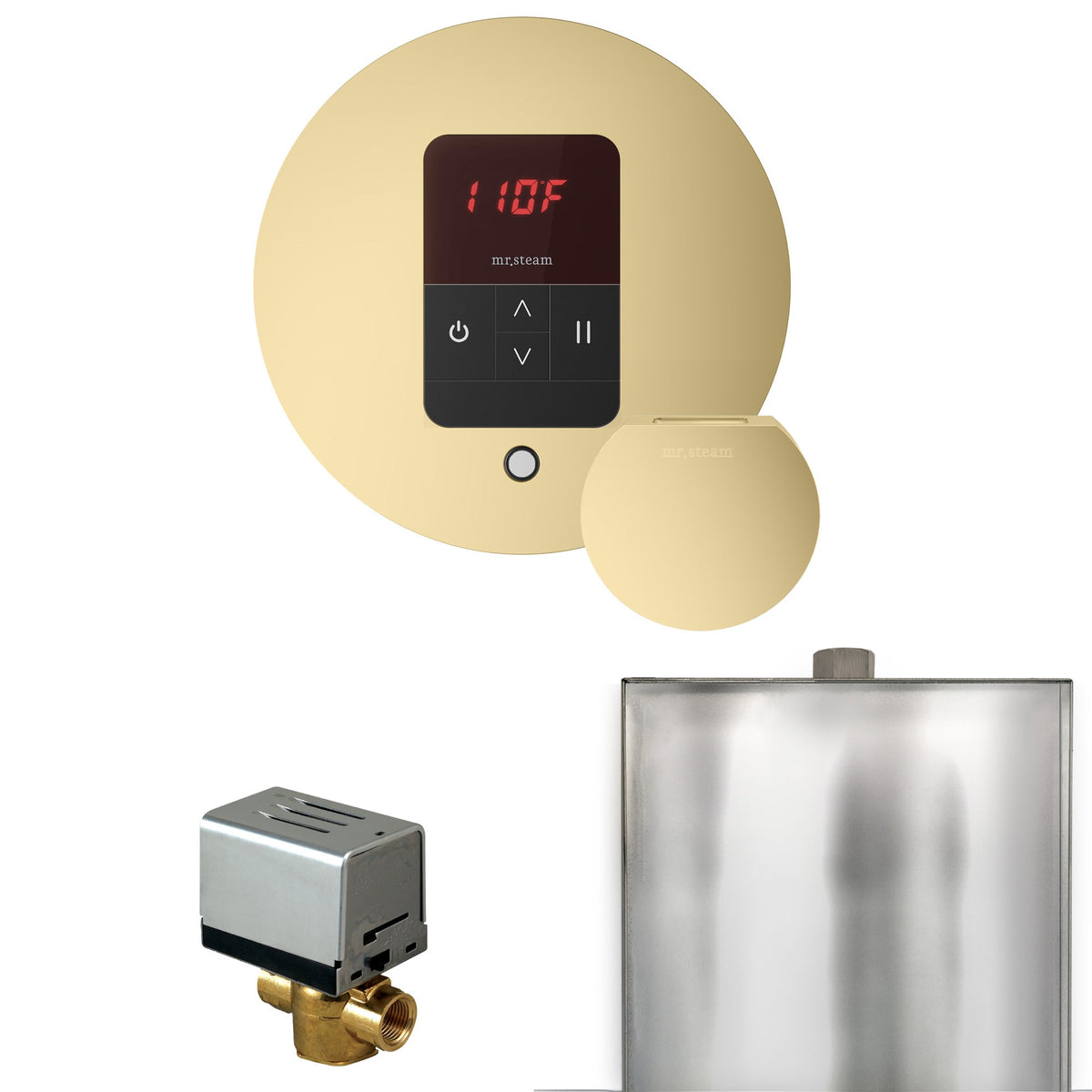 Mr. Steam Basic Butler Steam Shower Control Package with iTempo Control and Steamhead