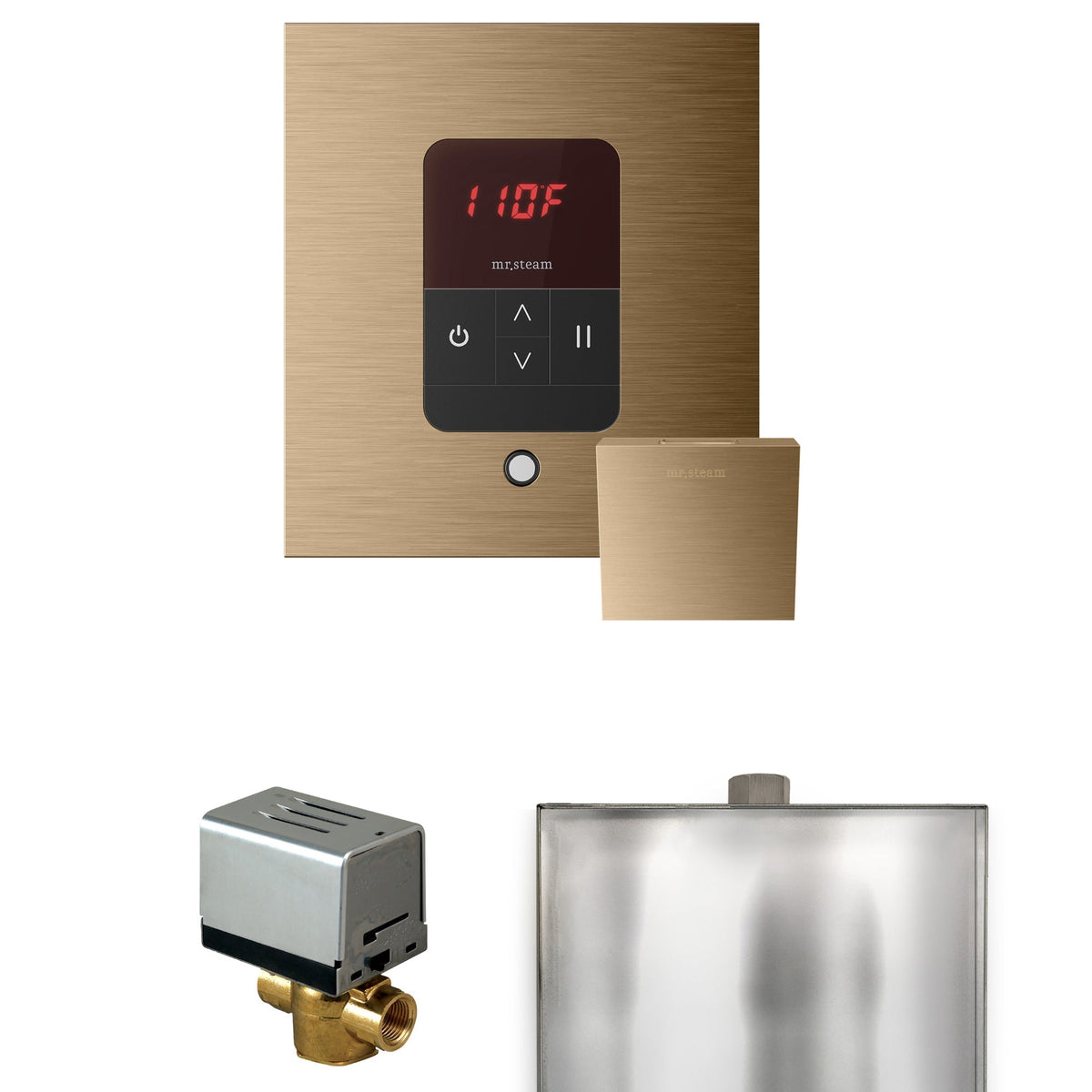 Mr. Steam Basic Butler Steam Shower Control Package with iTempo Control and Steamhead