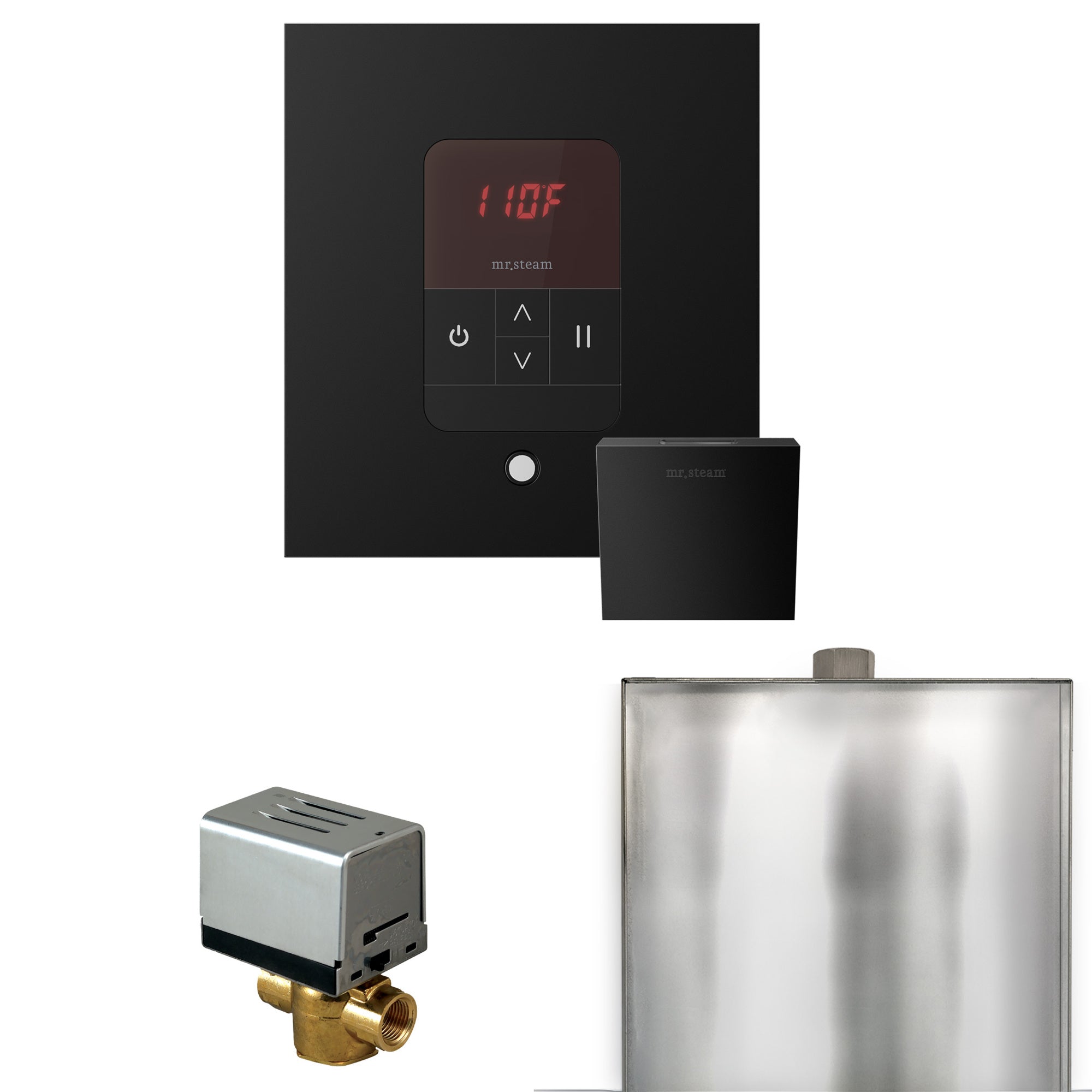 Mr. Steam Basic Butler Steam Shower Control Package with iTempo Control and Steamhead
