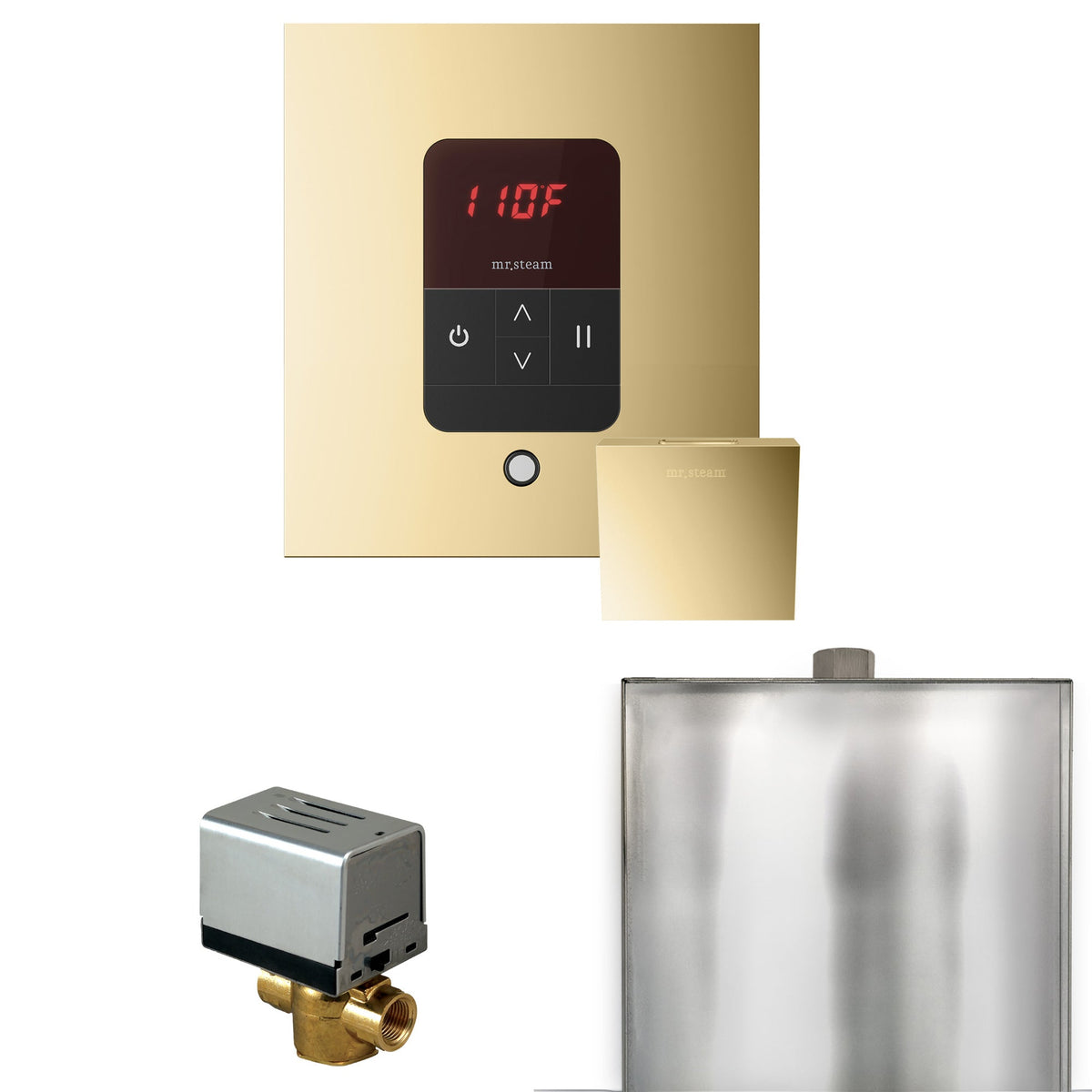 Mr. Steam Basic Butler Steam Shower Control Package with iTempo Control and Steamhead