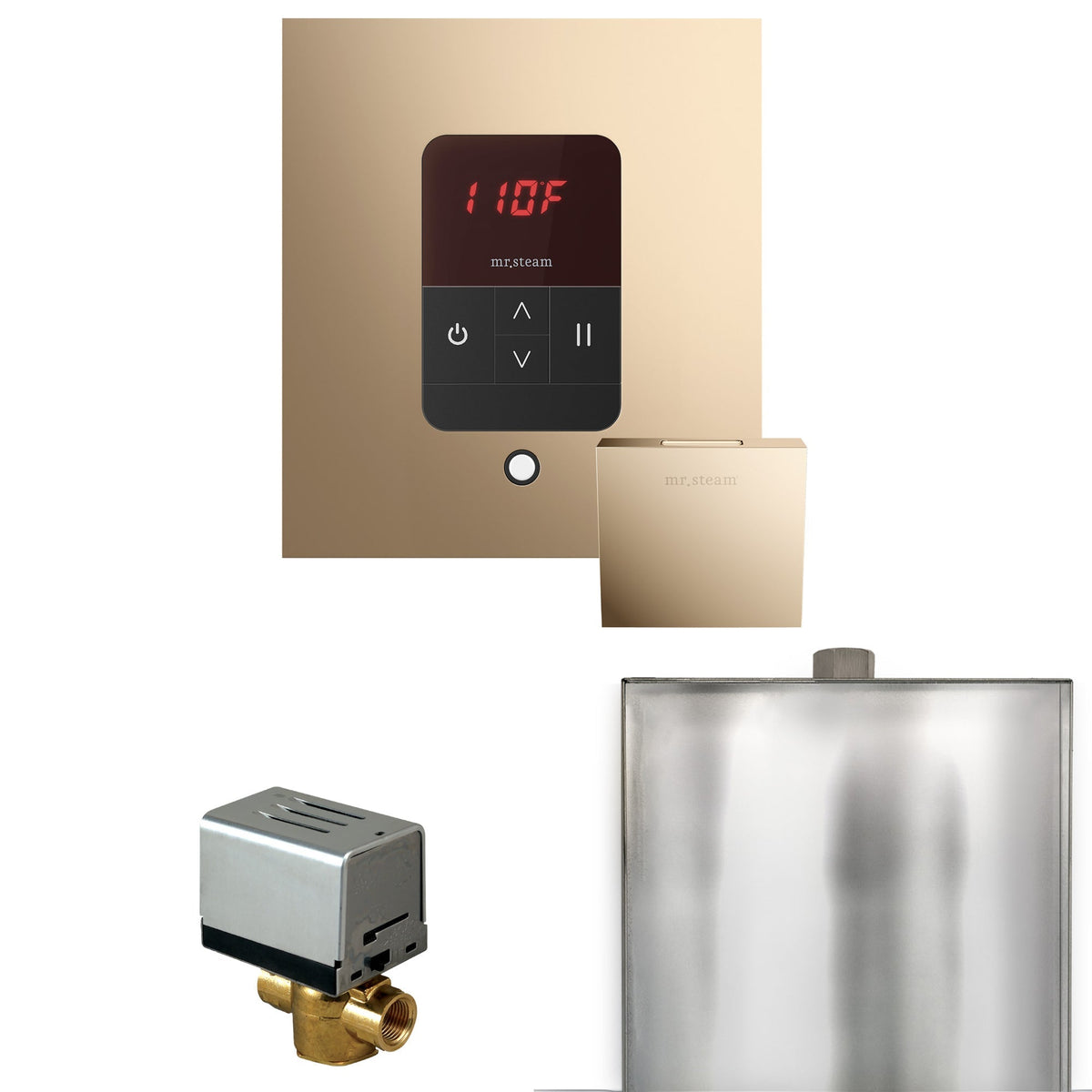 Mr. Steam Basic Butler Steam Shower Control Package with iTempo Control and Steamhead
