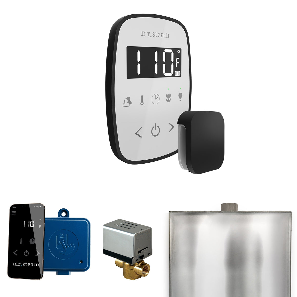 Mr. Steam ButlerFlex Steam Shower Control Package with TempoFlex Control and Steamhead
