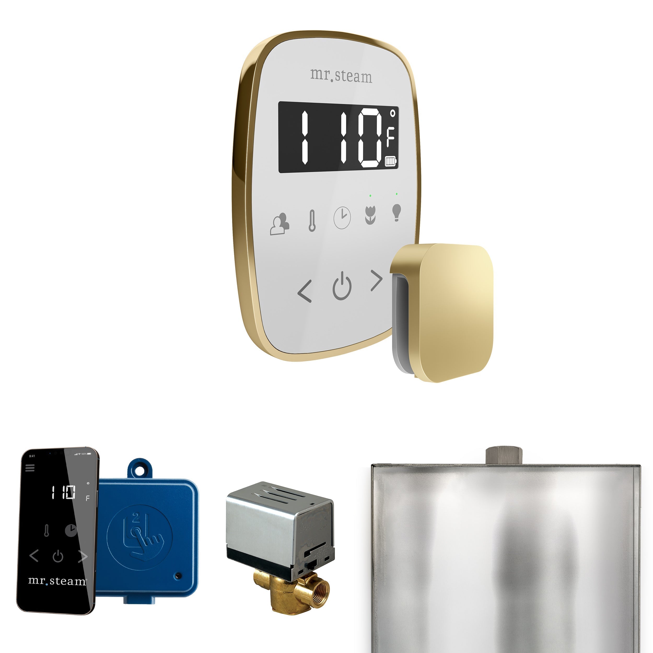 Mr. Steam ButlerFlex Steam Shower Control Package with TempoFlex Control and Steamhead