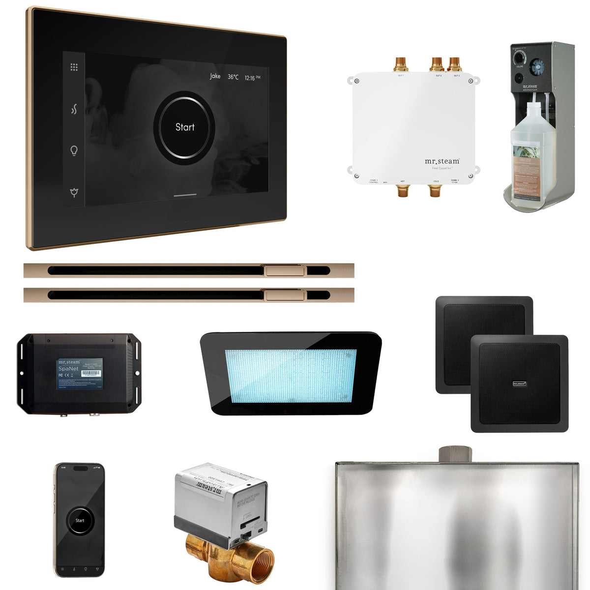 Mr. Steam Bliss Max Steam Shower Control Package with iSteamX Control and Linear Steamhead