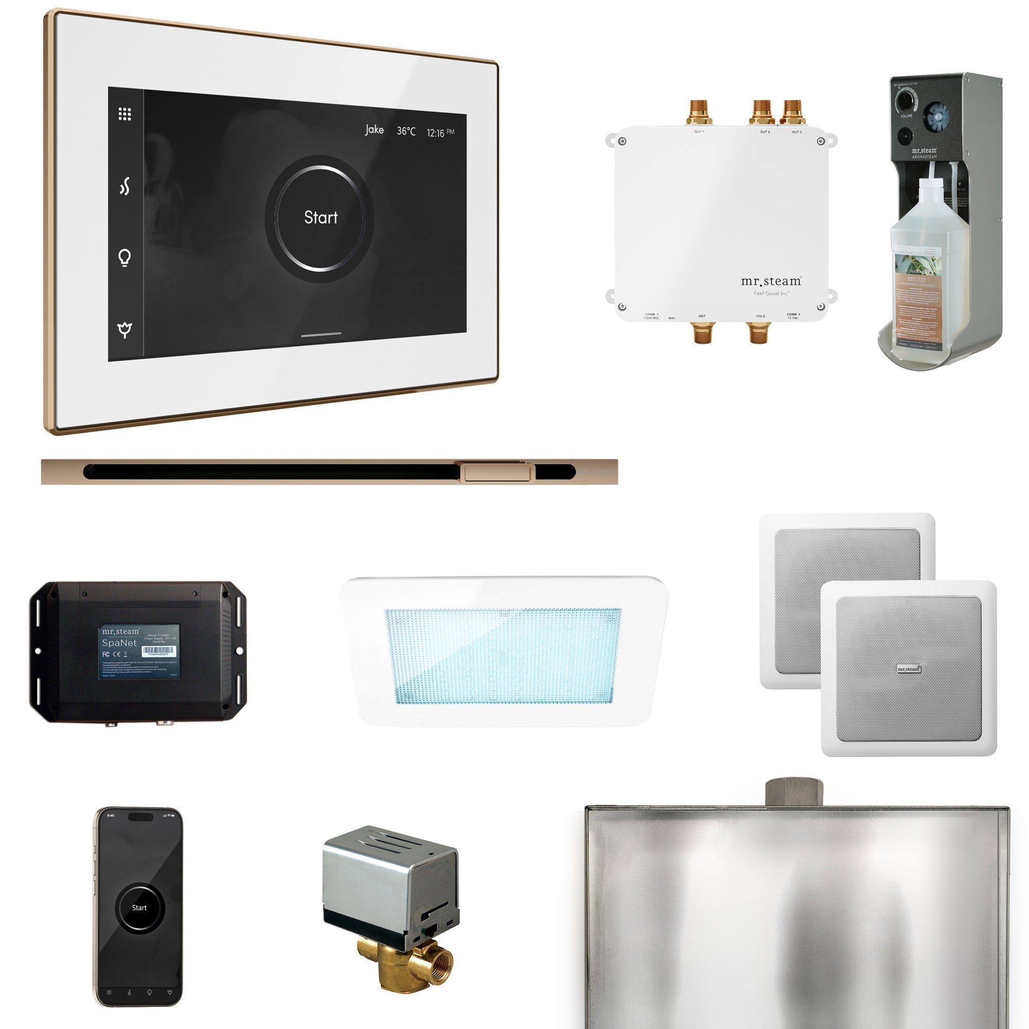 Mr. Steam Bliss Steam Shower Control Package with iSteamX Control and Linear Steamhead