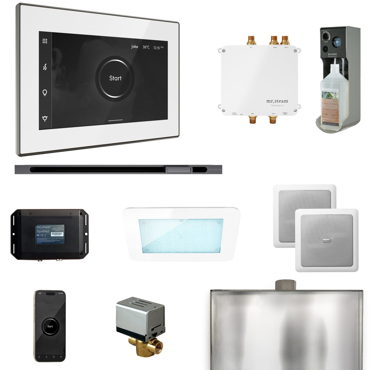 Mr. Steam Bliss Steam Shower Control Package with iSteamX Control and Linear Steamhead