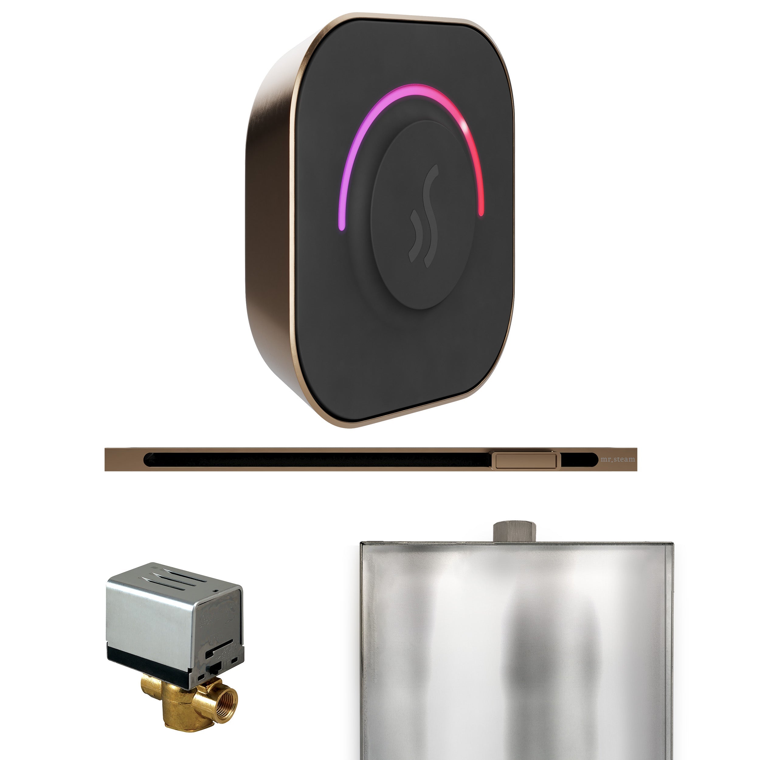 Mr. Steam ButlerTouch Steam Shower Control Package with TempoTouch Control and Linear Steamhead