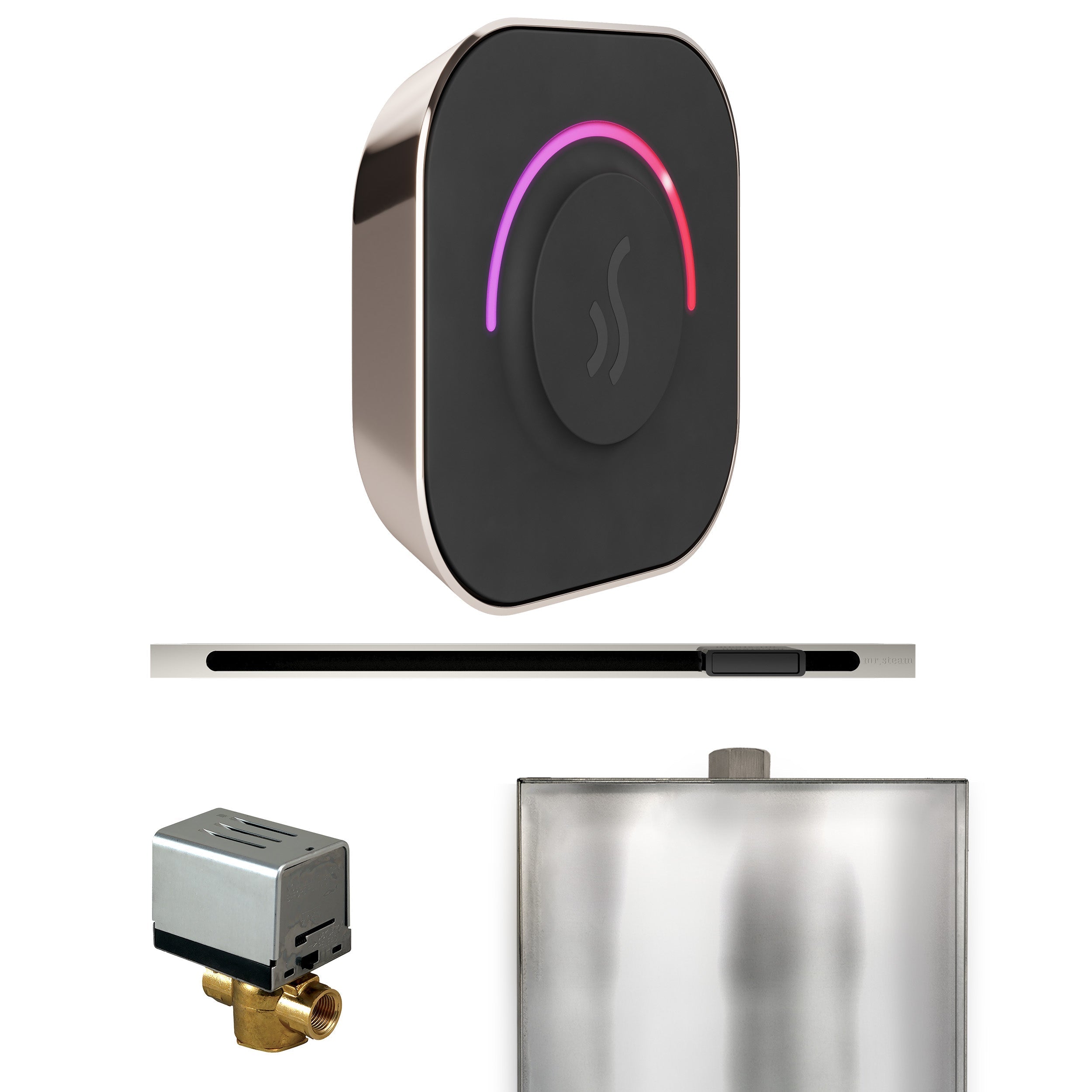 Mr. Steam ButlerTouch Steam Shower Control Package with TempoTouch Control and Linear Steamhead
