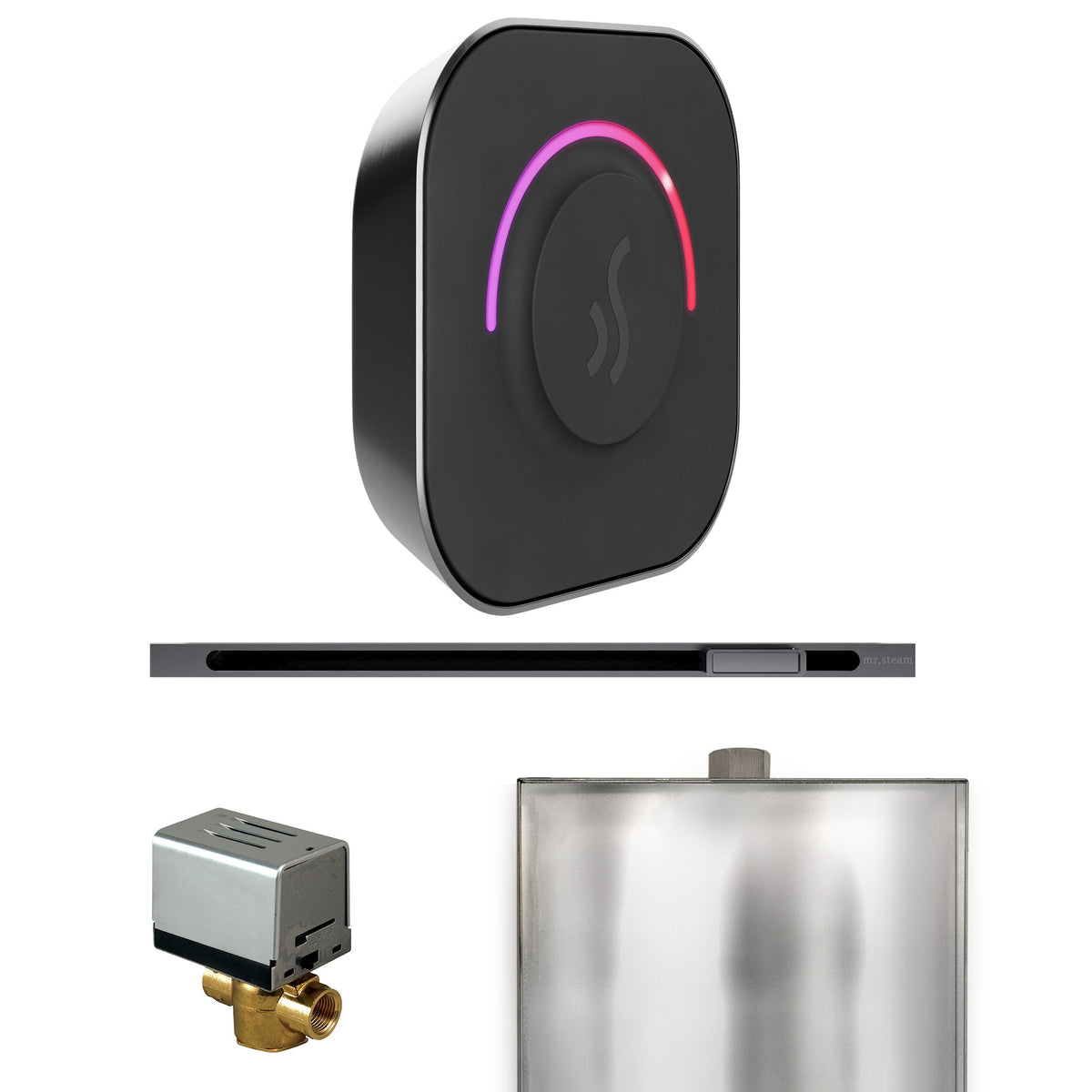 Mr. Steam ButlerTouch Steam Shower Control Package with TempoTouch Control and Linear Steamhead