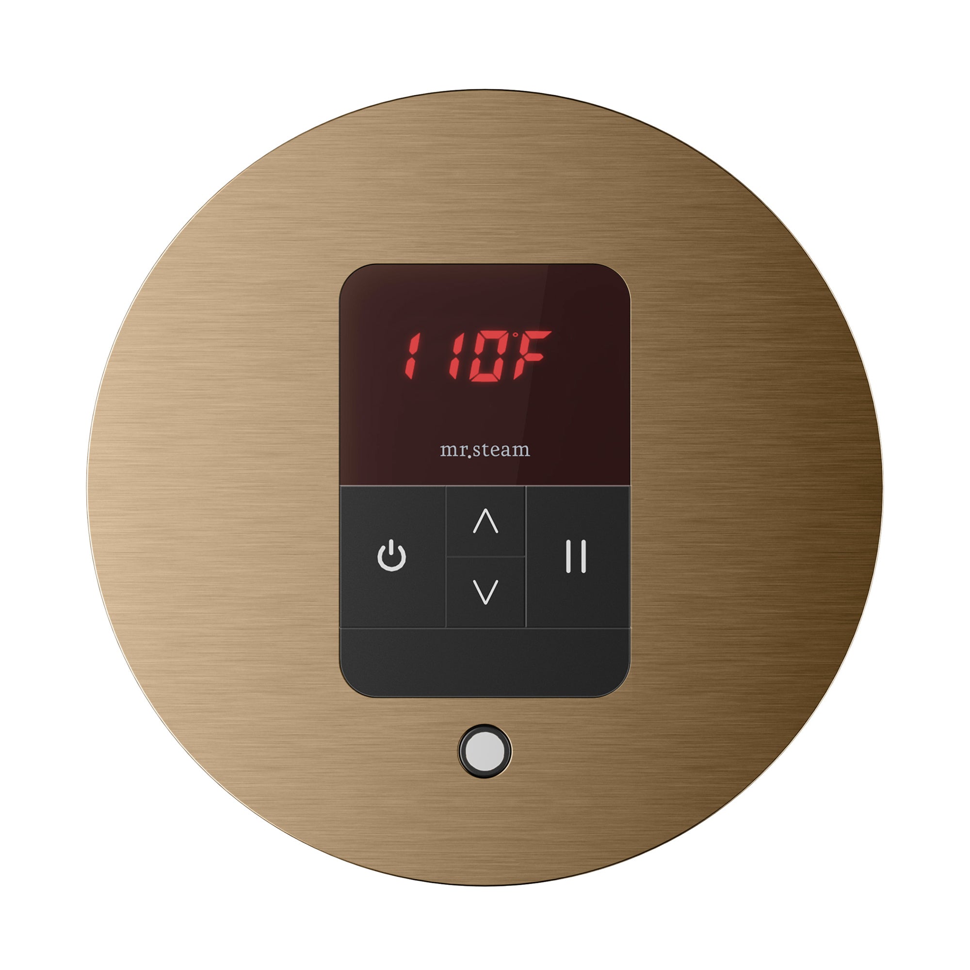 Mr. Steam iTempo Steam Shower Control and Steamhead