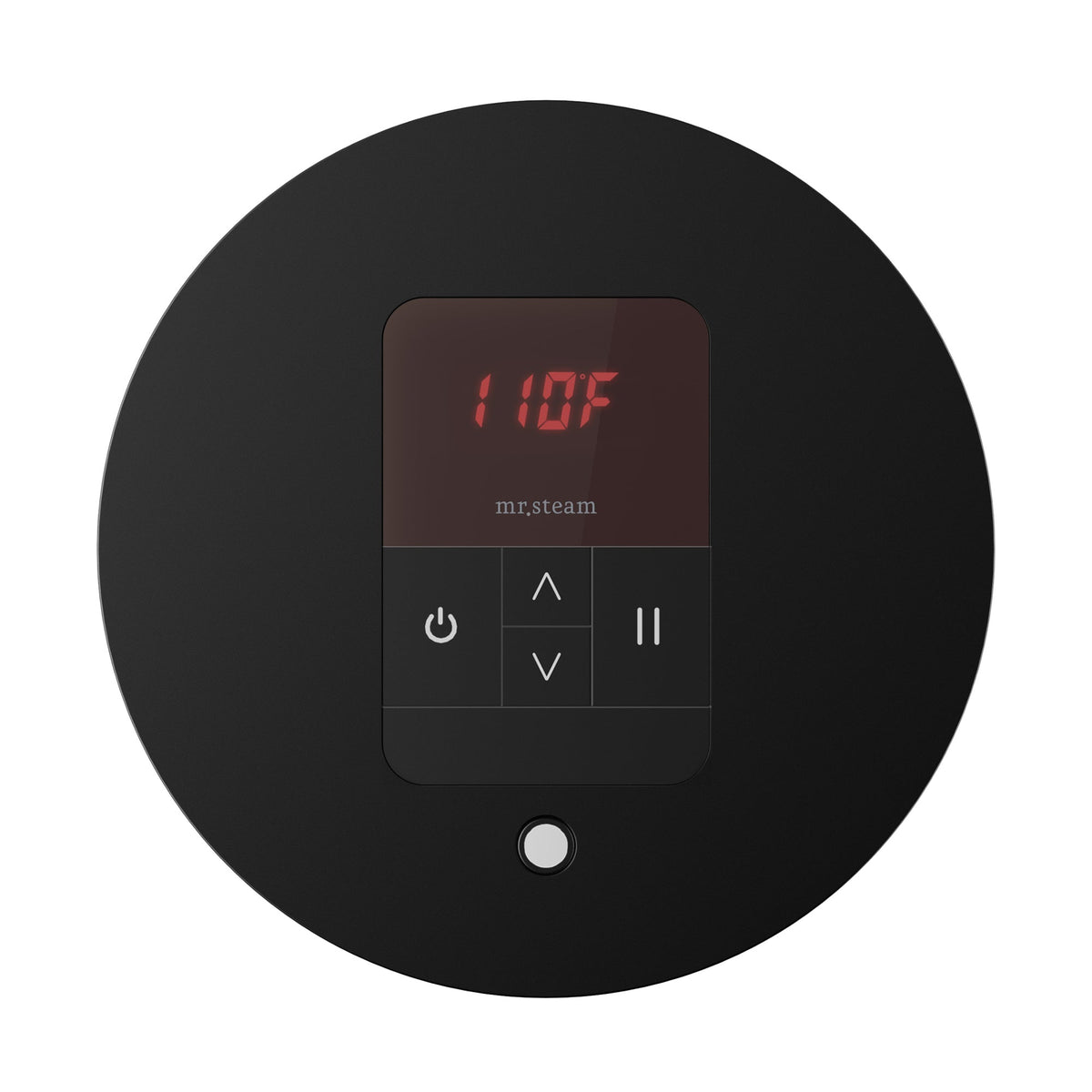 Mr. Steam iTempo Steam Shower Control and Steamhead