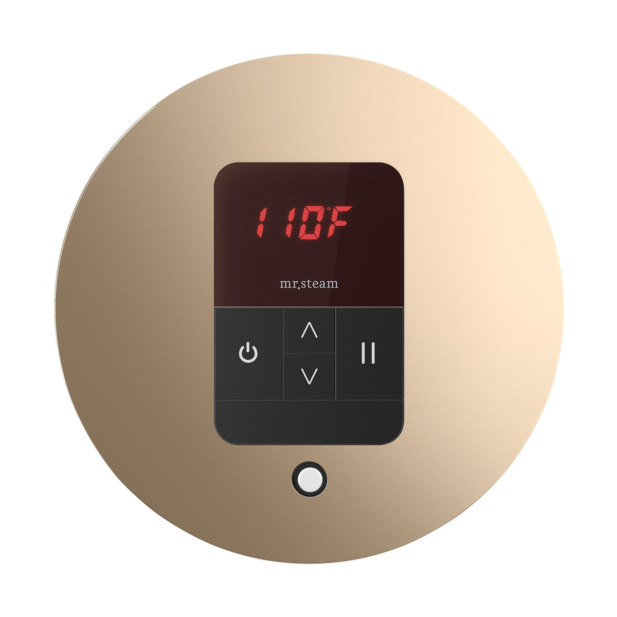 Mr. Steam iTempo Steam Shower Control and Steamhead