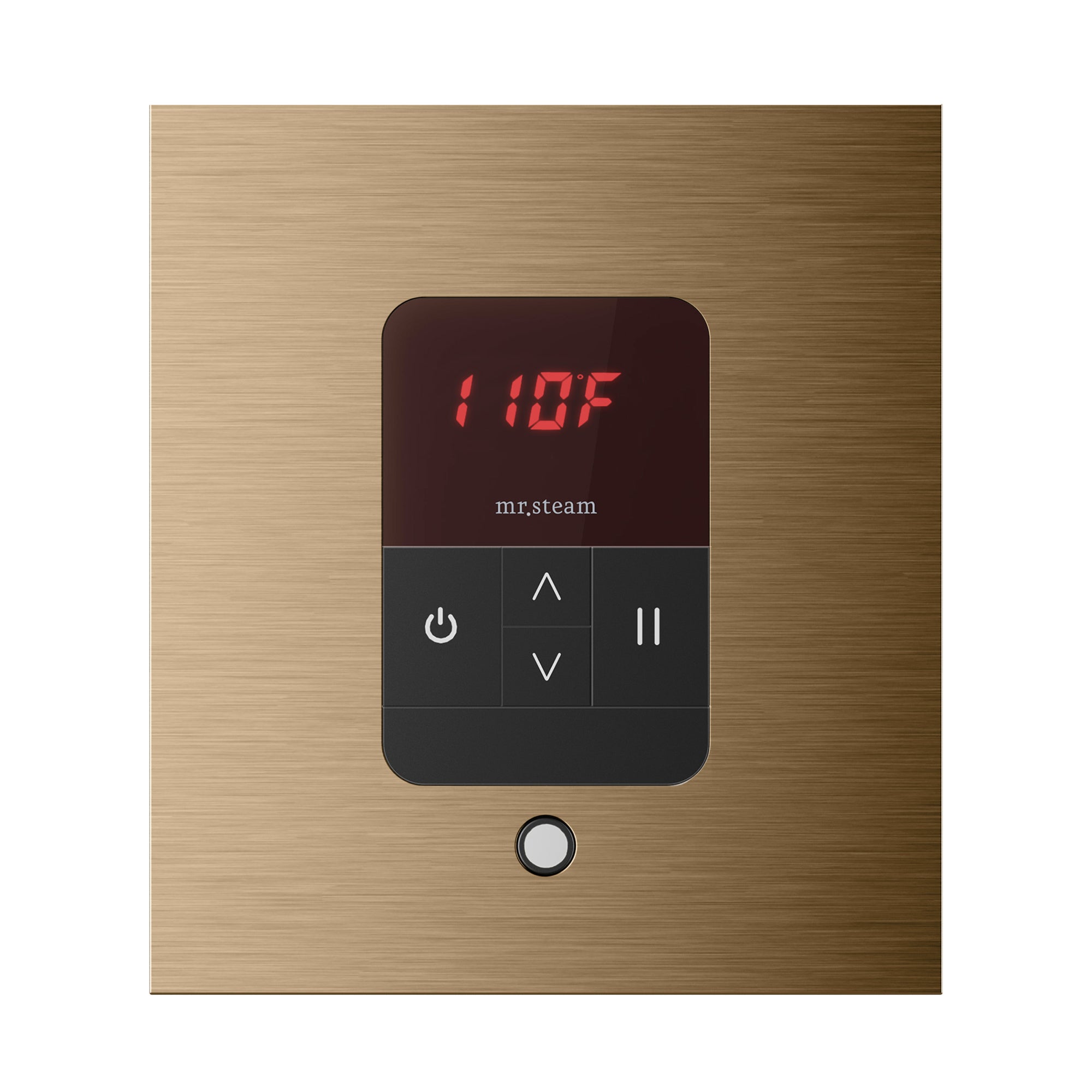 Mr. Steam iTempo Steam Shower Control and Steamhead